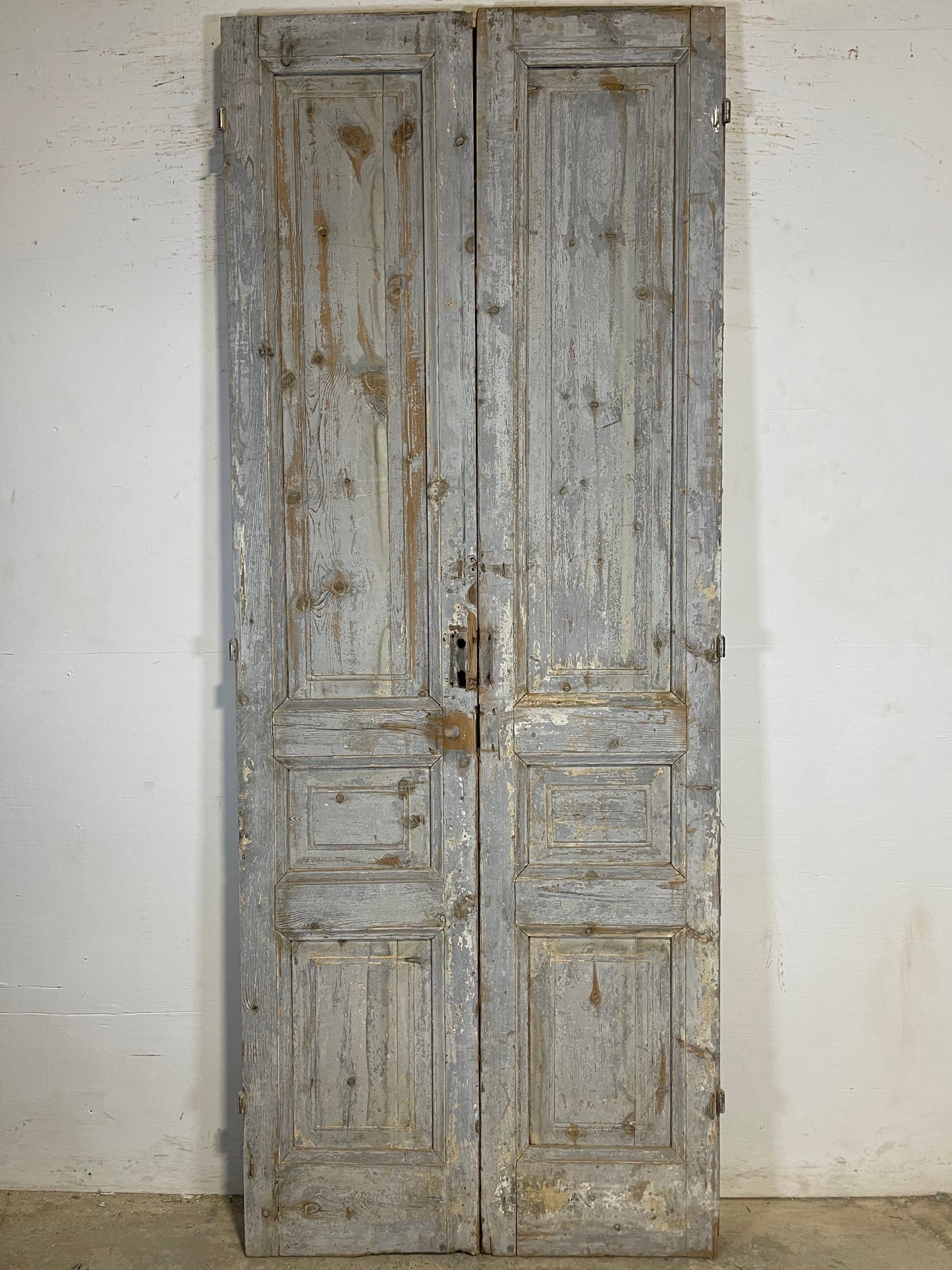 Antique French panel Doors (97x38.25) K658