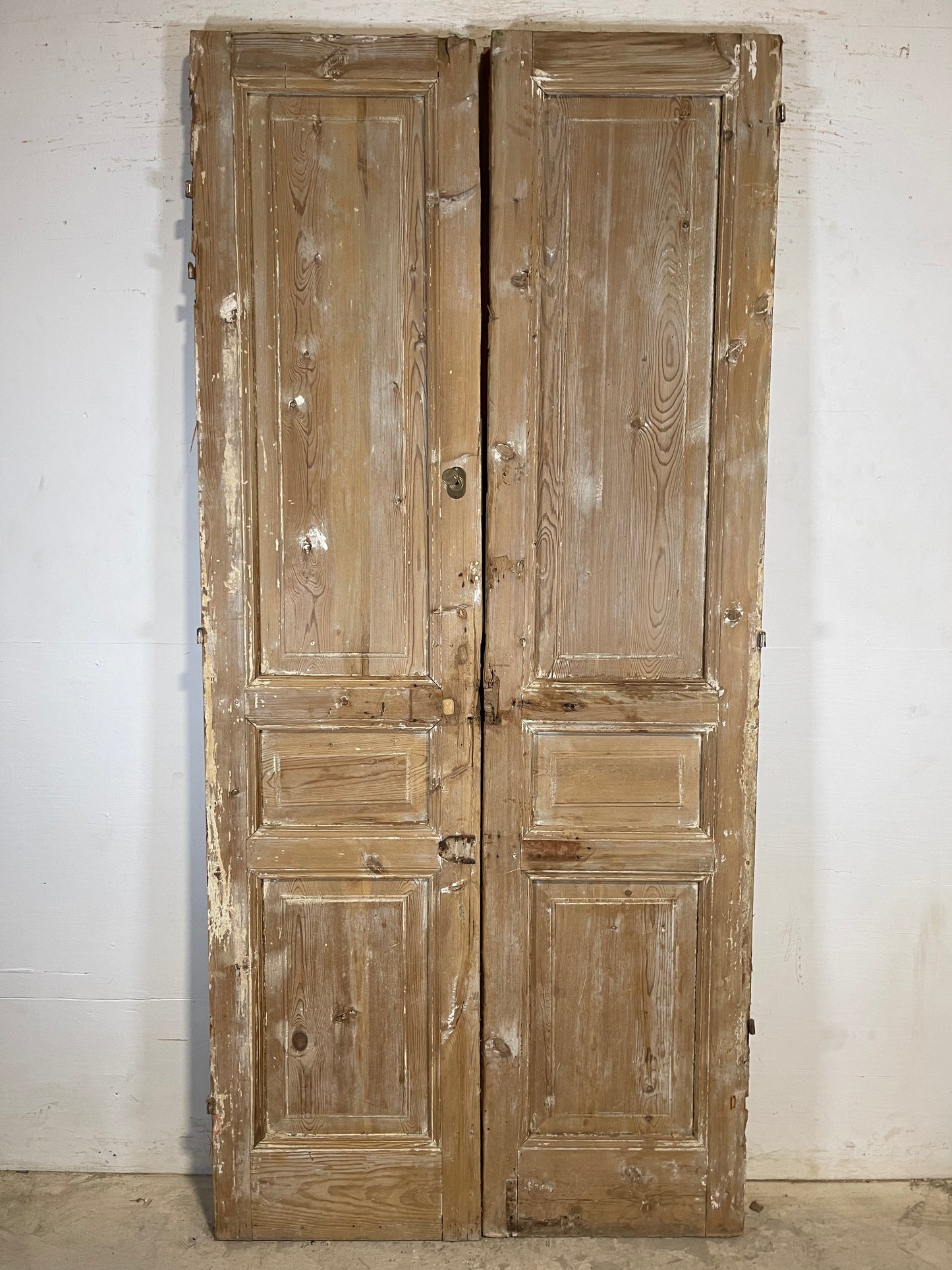 Antique French panel Doors (94.5x43.75) K710