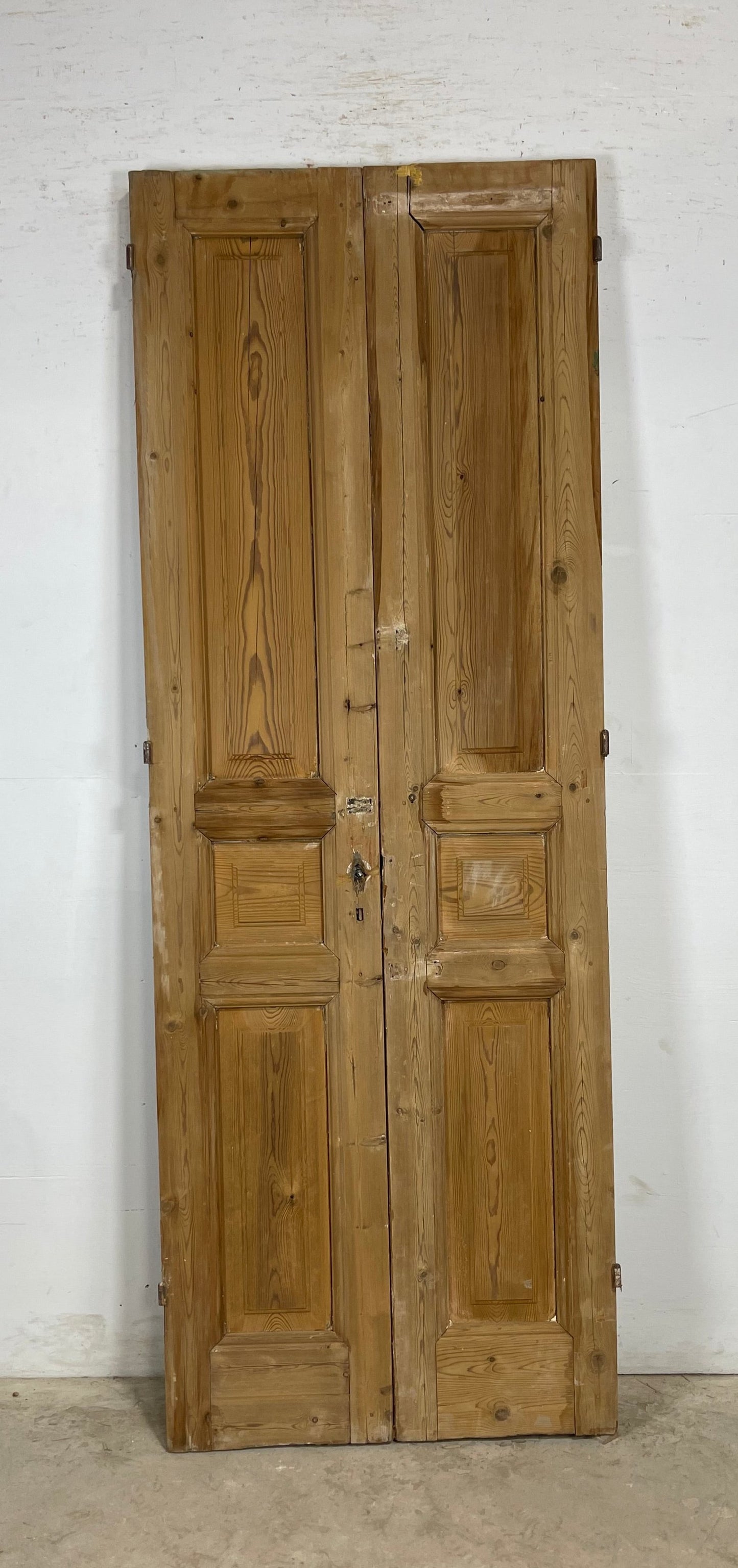 Antique French panel Doors (90.75 x 33) M170