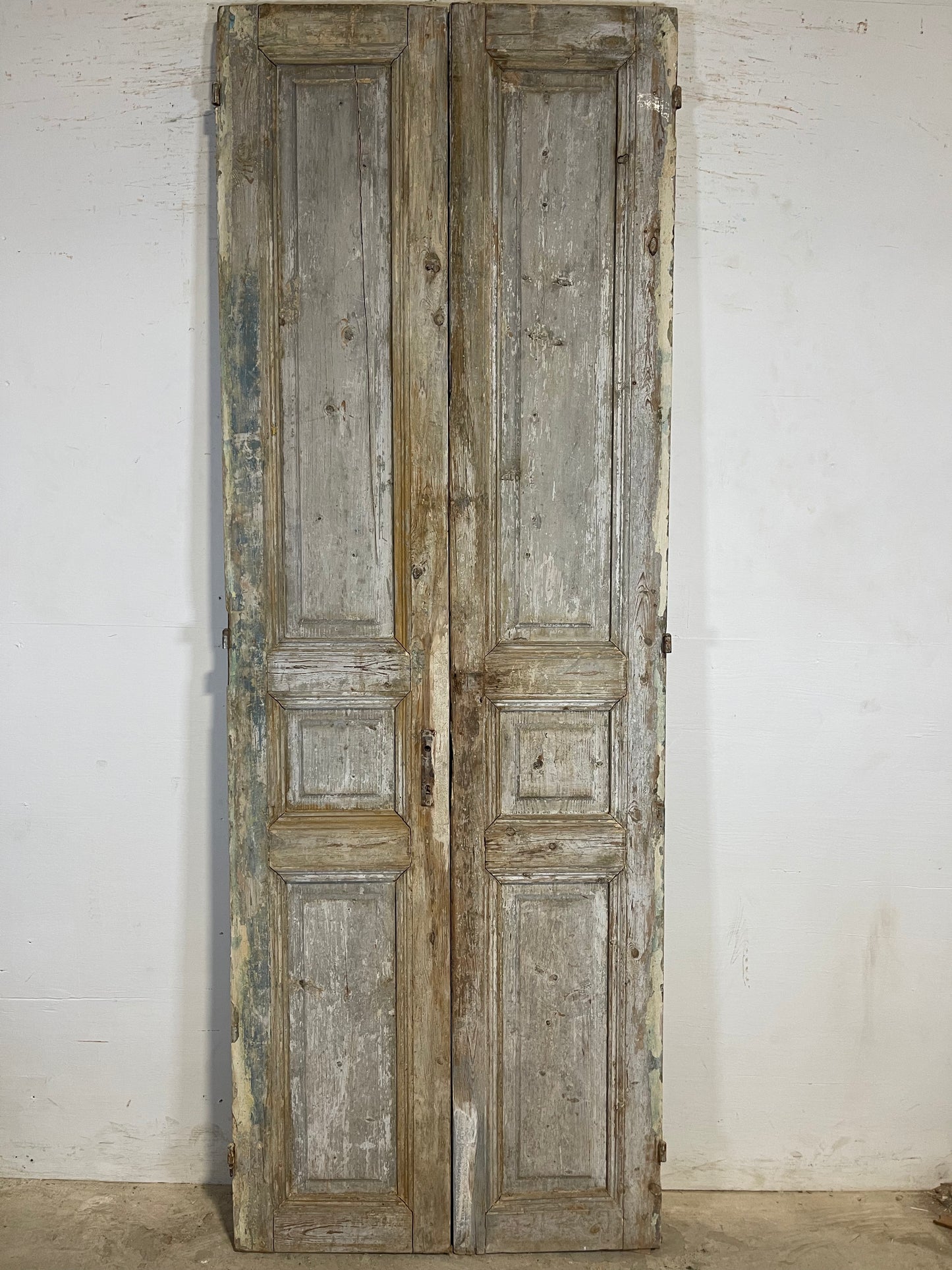 Antique French panel Doors (94x33.25) K635