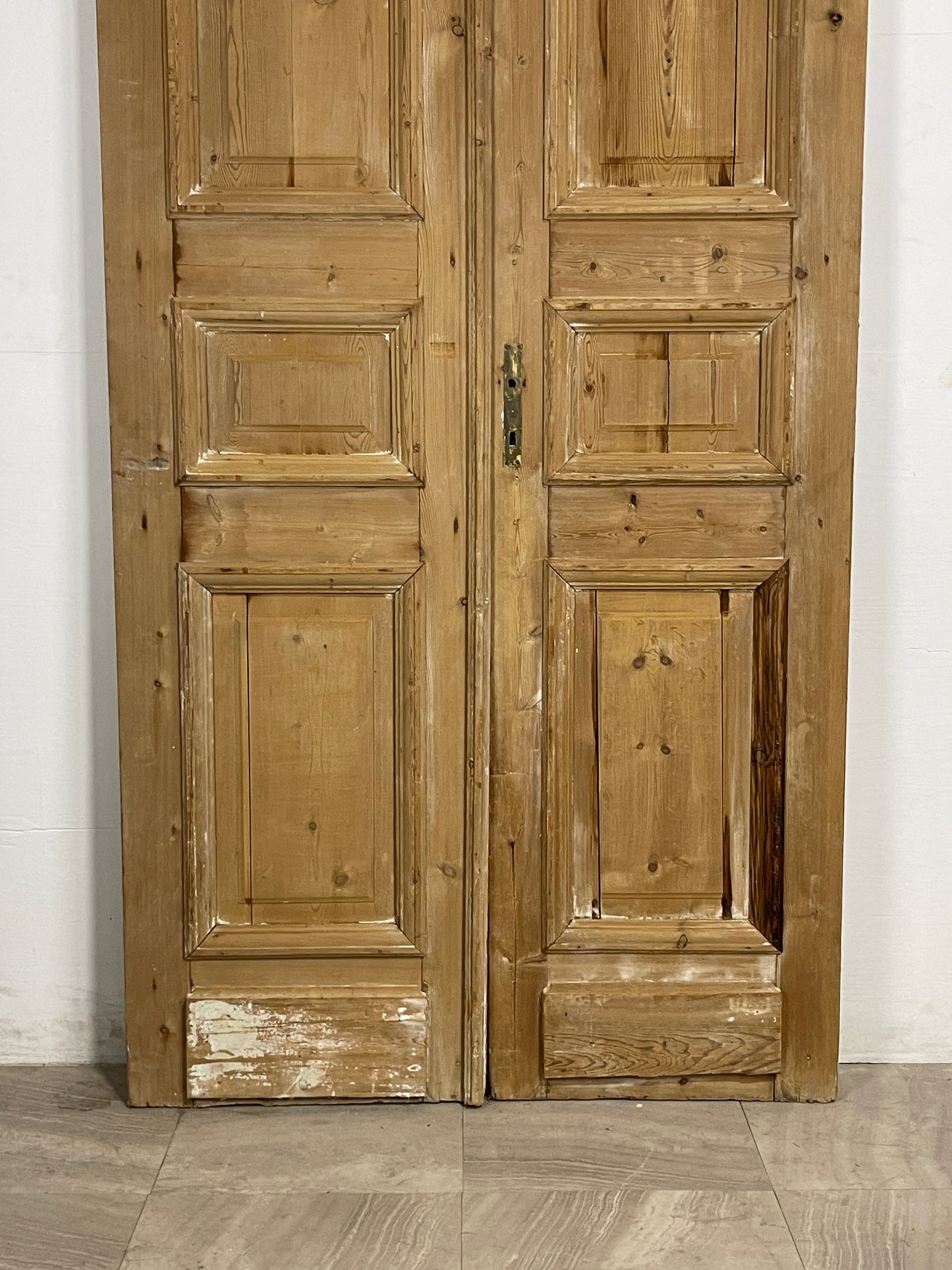 Antique French panel Doors (95 x 46.5) N137 FHL