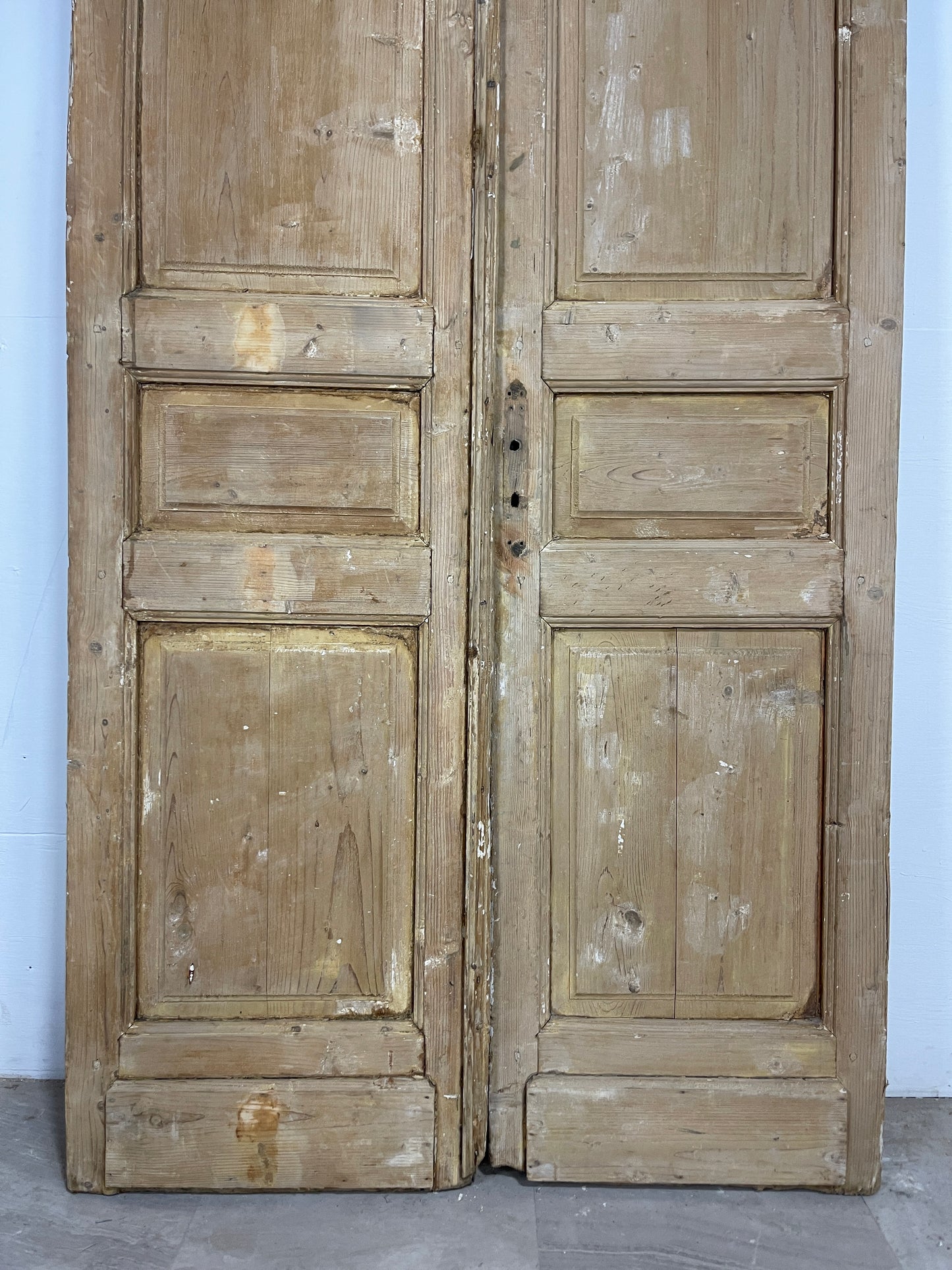 Antique French panel Doors (90.5 x 43.75) O125
