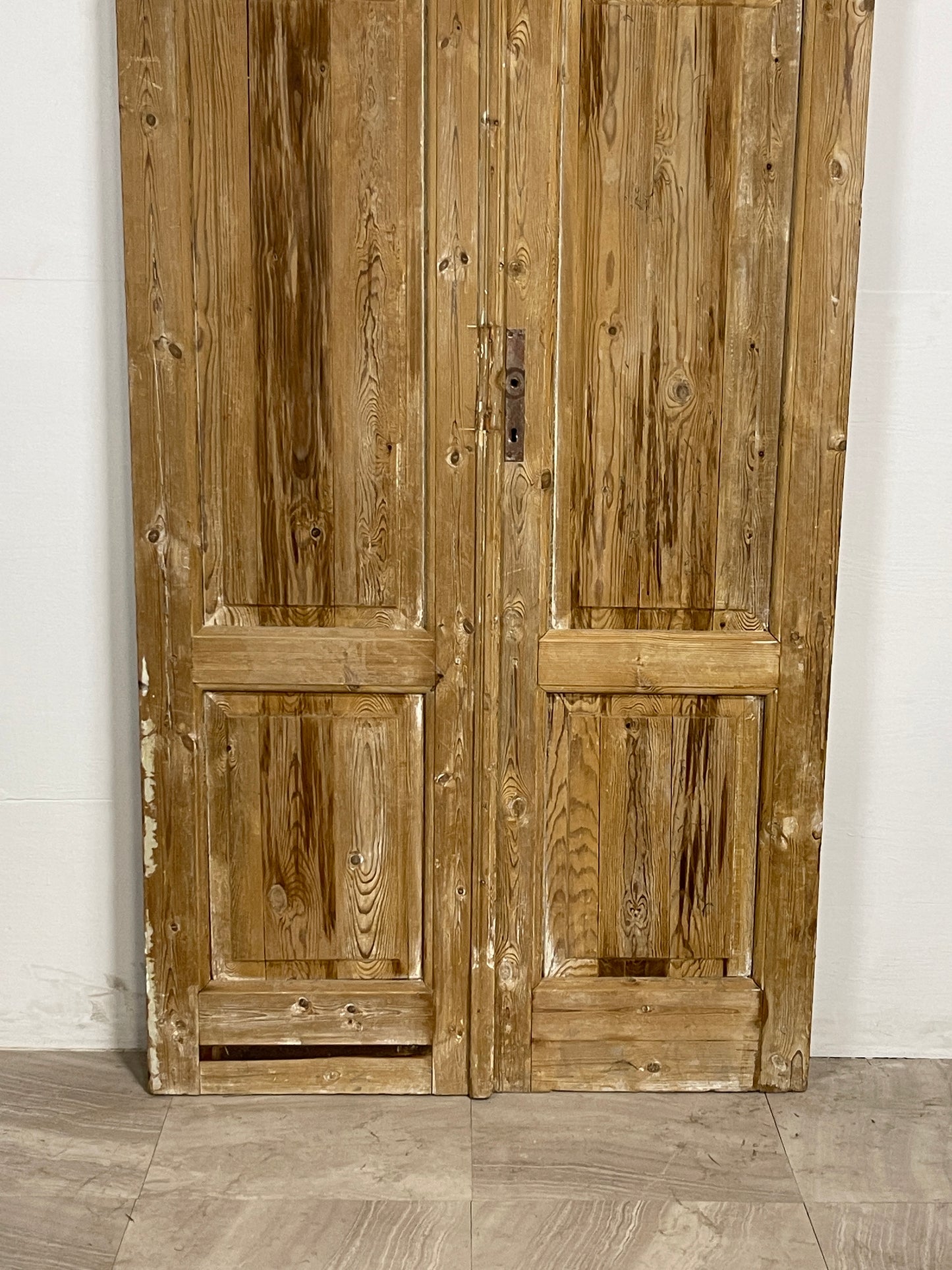 Antique French Panel Doors with Glass (98 x 41) N049