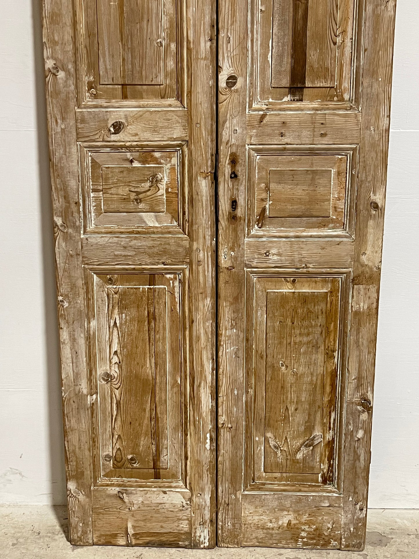 Antique French panel Doors (92.5x35.25) J610