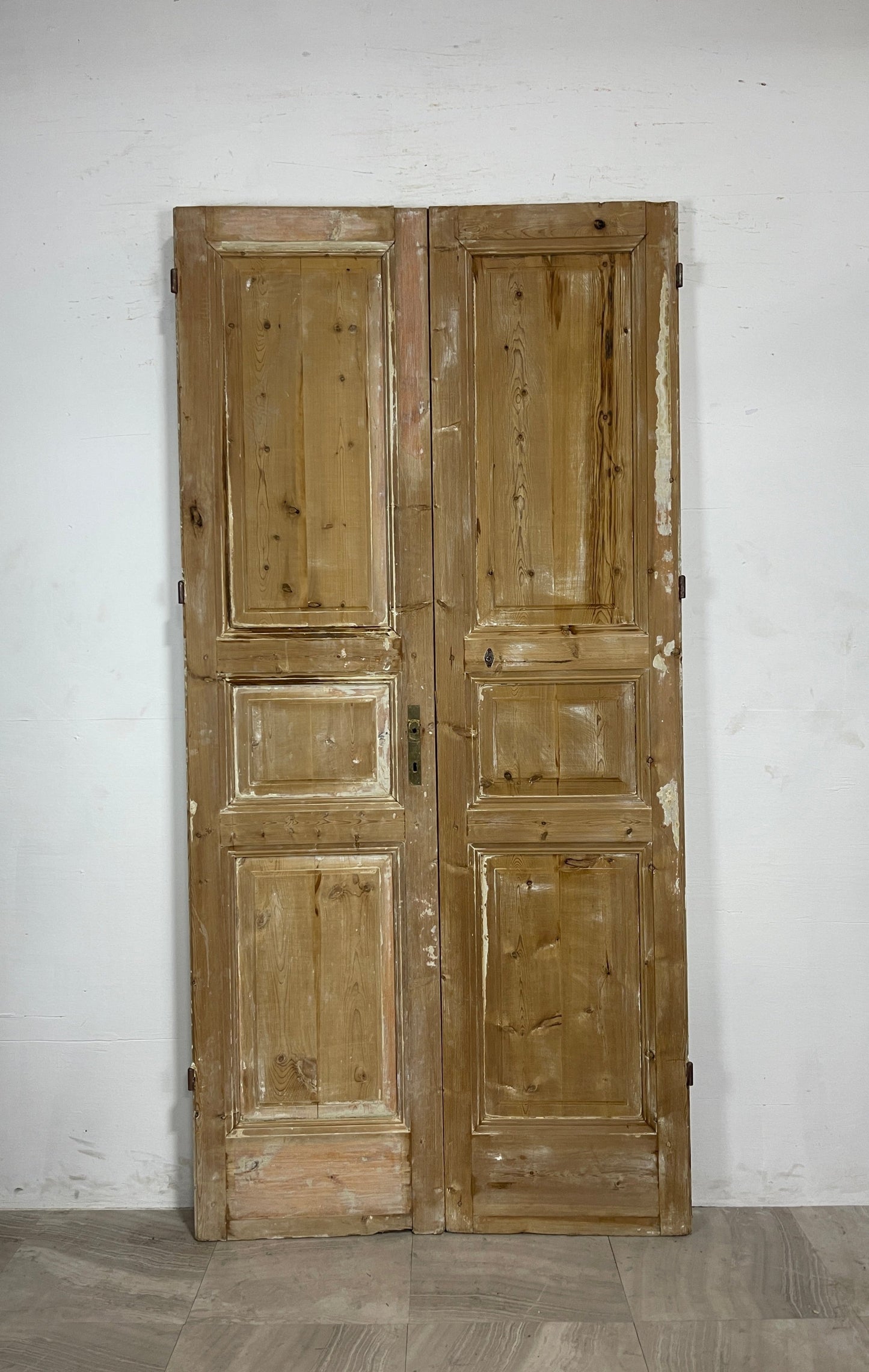 Antique French panel Doors  (94.5 x 46)  N063