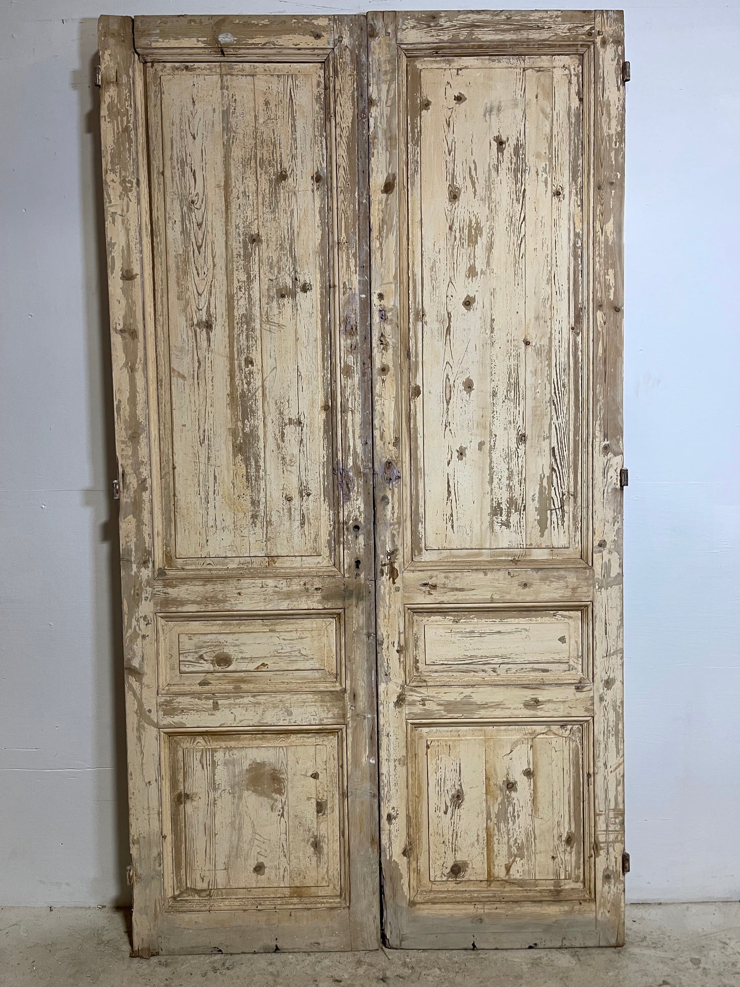Antique French panel Doors (94.5x51) L276
