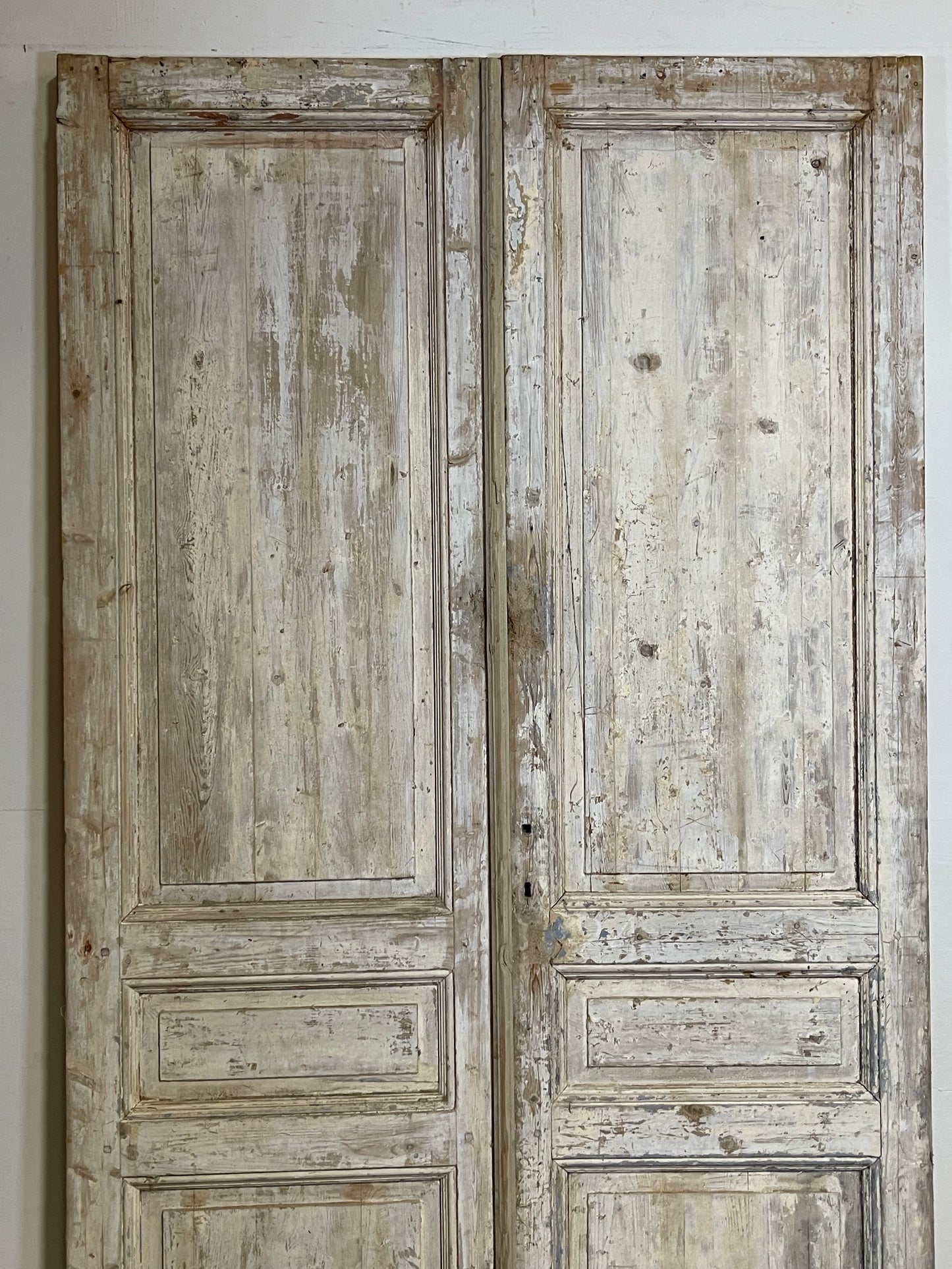 Antique French panel Doors (94.75x53.5) L268
