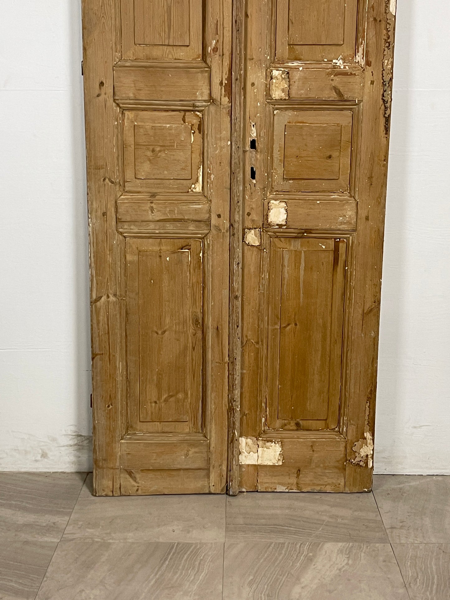 Antique French panel Doors (95.75 x 34.25) N104