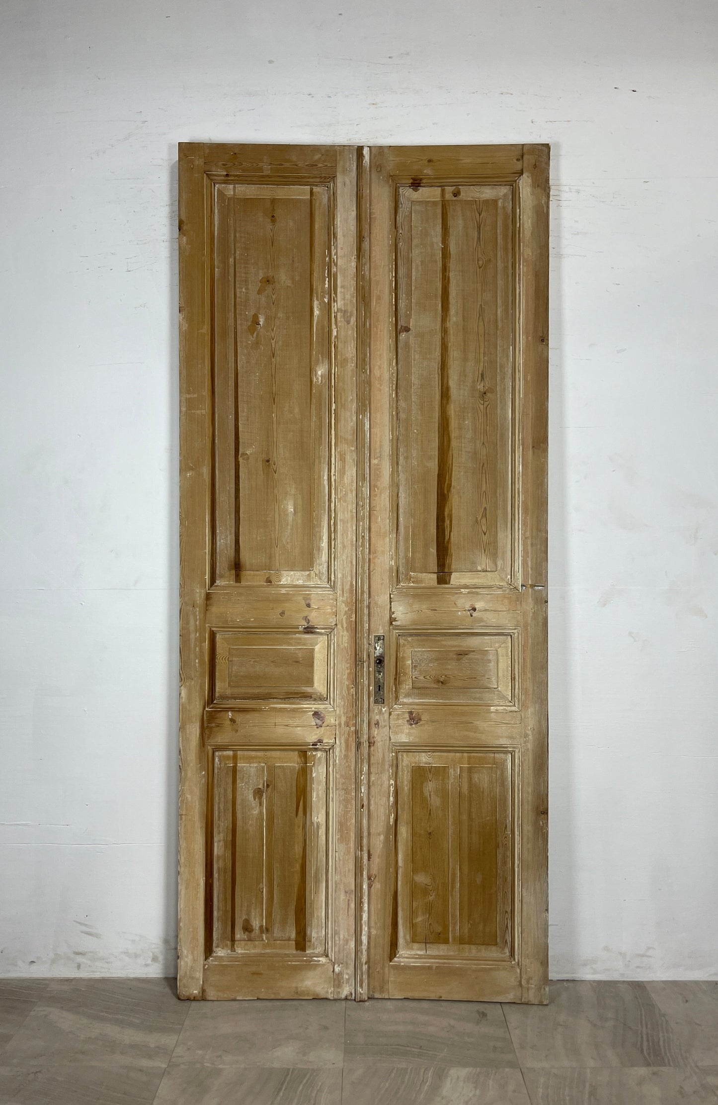 Antique French panel Doors (99.25 x 43.25) N101