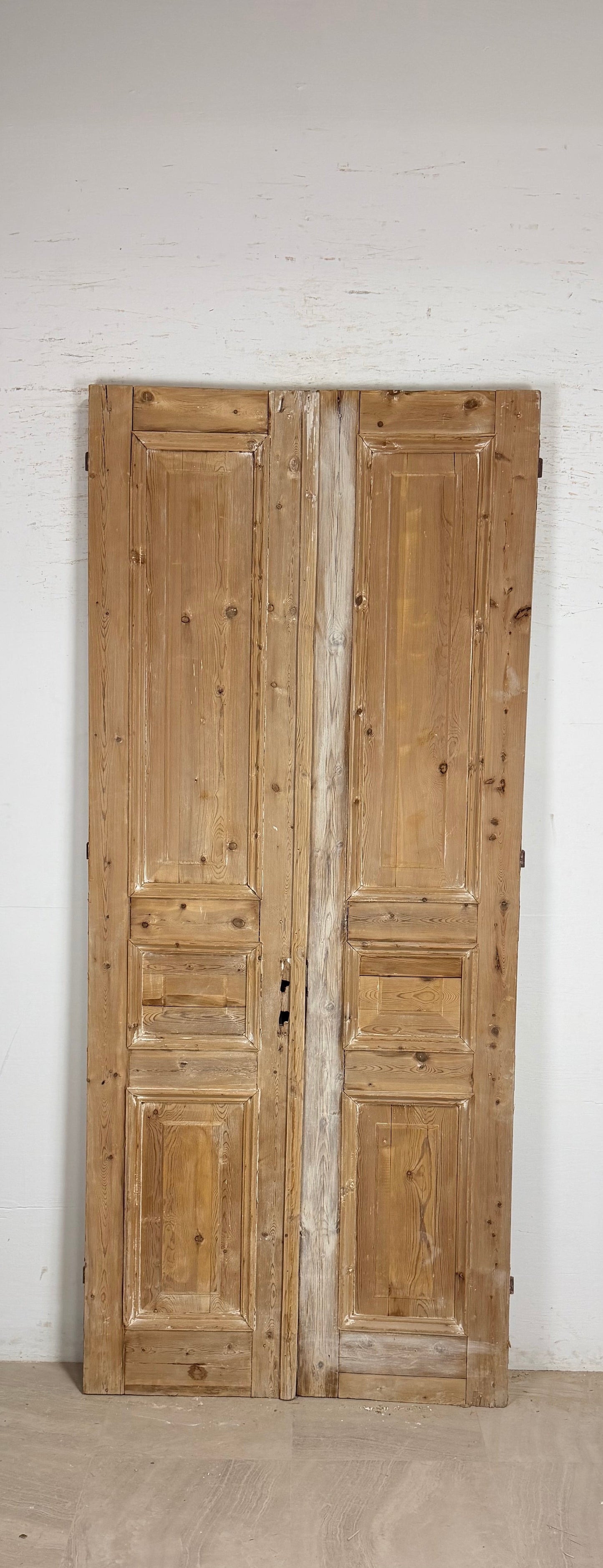 Antique French panel Doors (97.5x42) P221