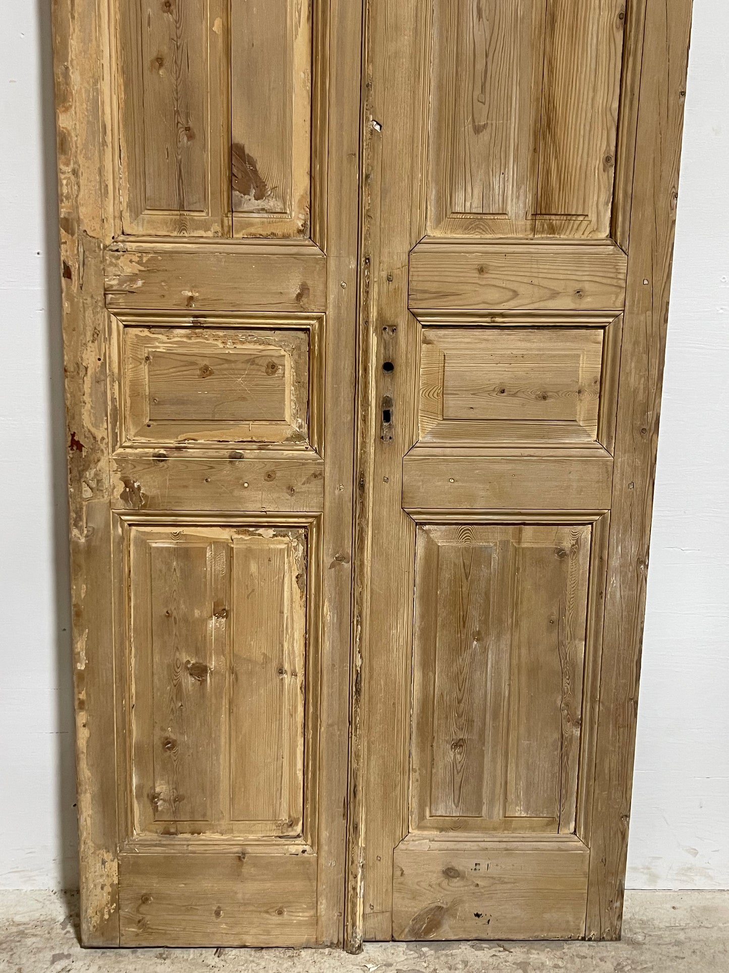 Antique French panel Doors (97.25x40.25) J635