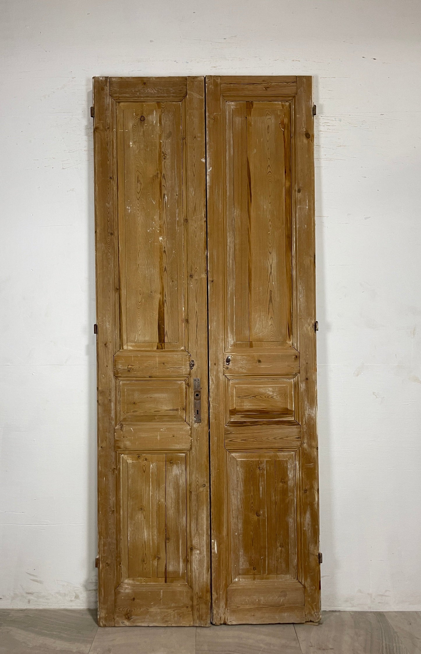 Antique French panel Doors (101.75 x 41.5) N105