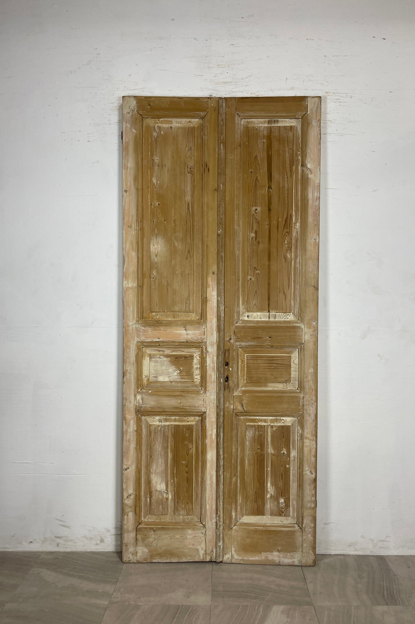 Antique French panel Doors (94 x 39.5) N098