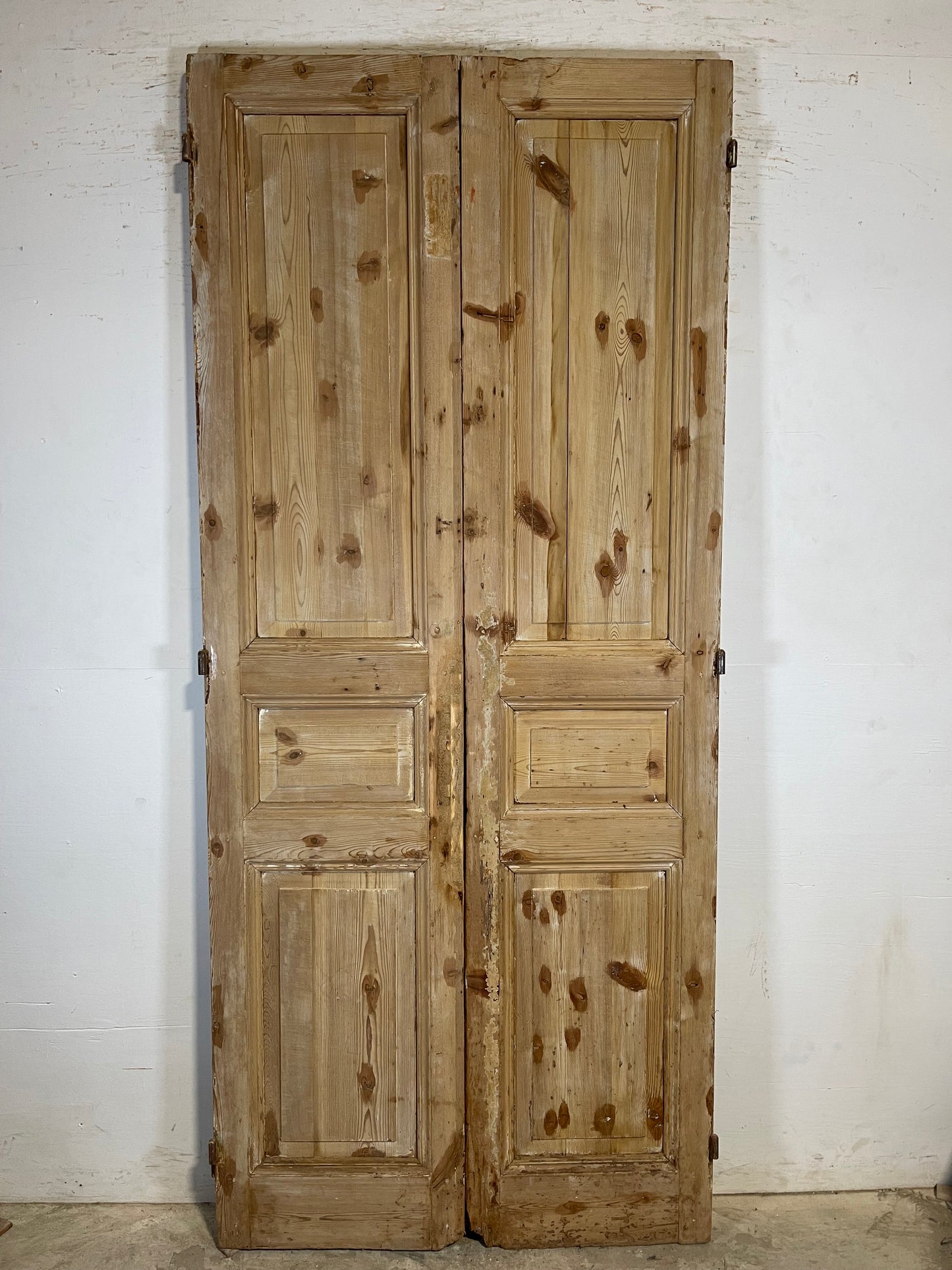 Antique French panel Doors (94.5x41.25) K717