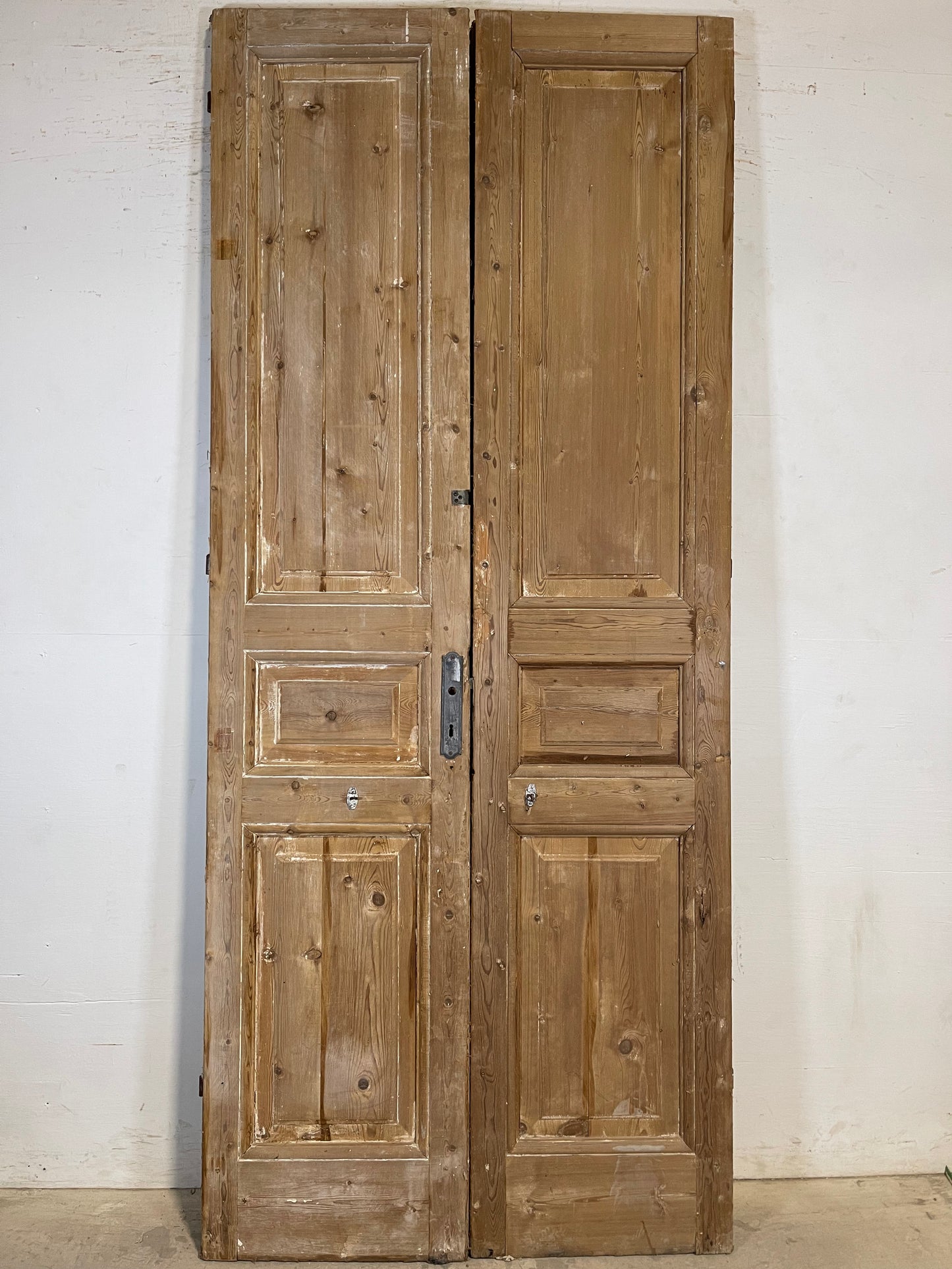 Antique French panel Doors (98.5x41.5) K659