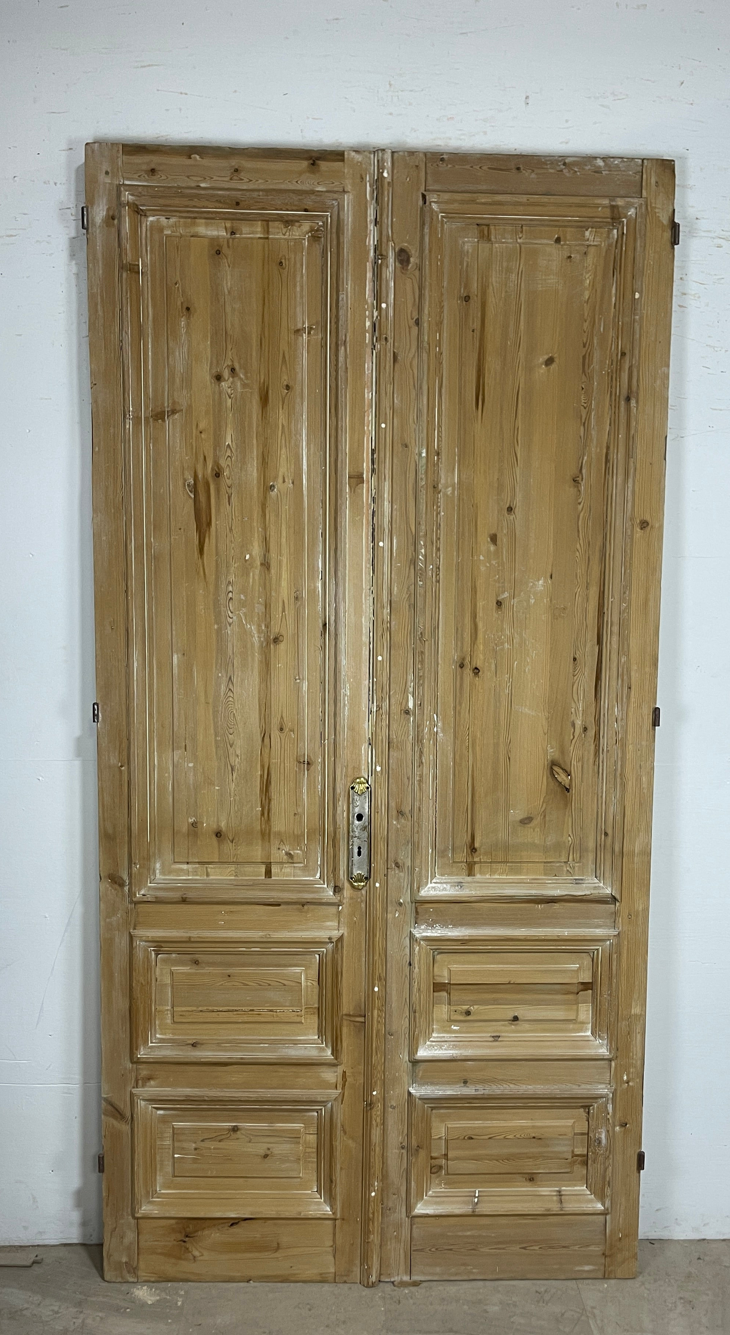 Antique French panel doors with Carvings (100 x 50) P48