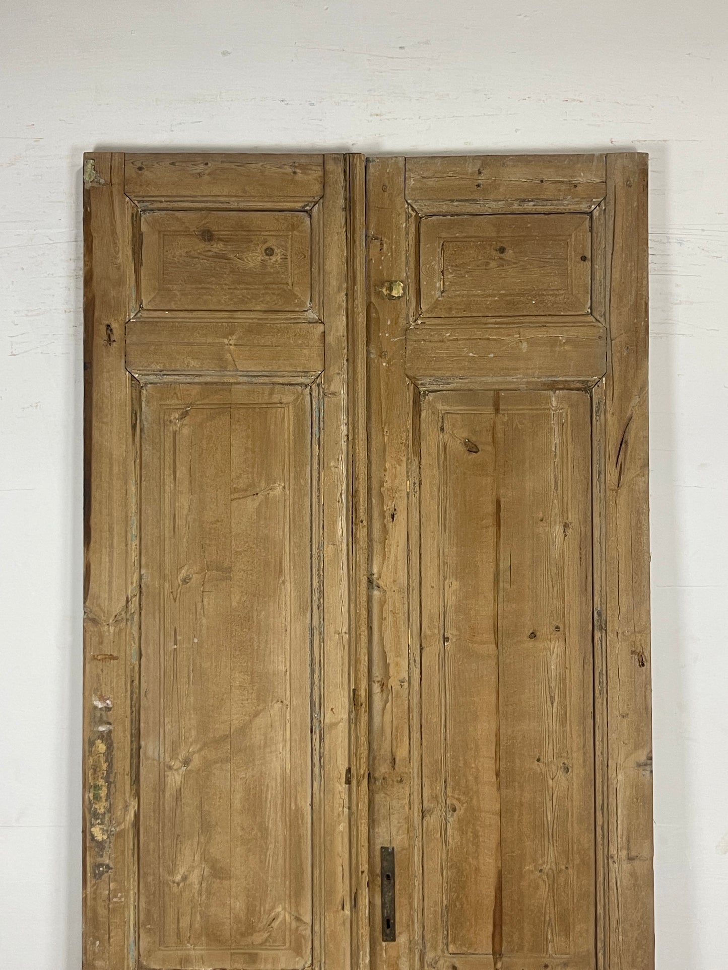 Antique French panel Doors (101.25 x 44) N122