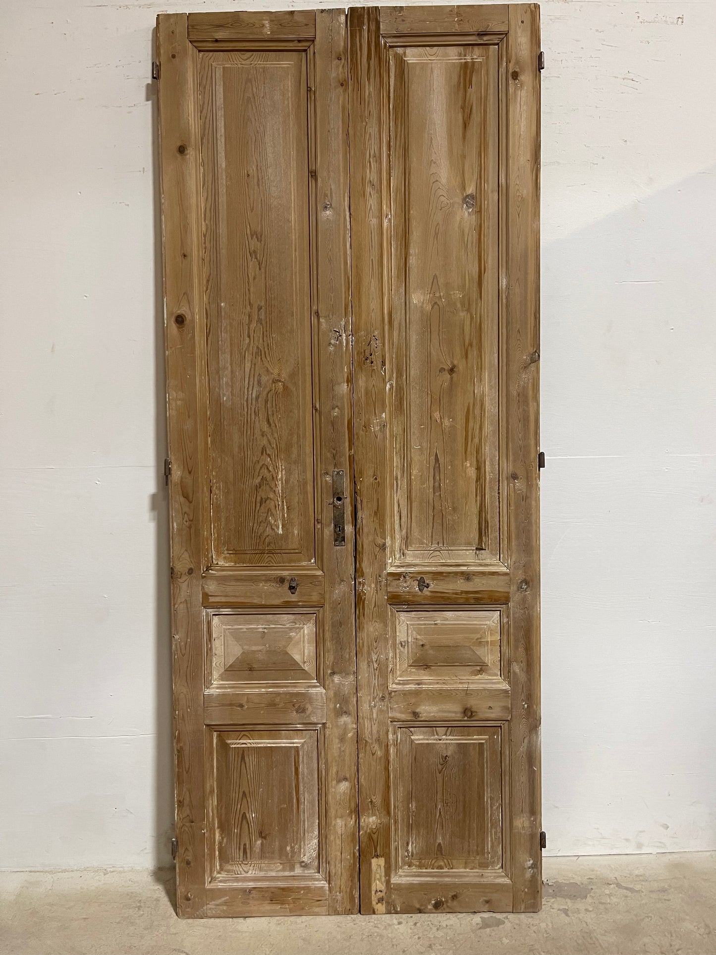 Antique French panel Doors (94.25x39) J607