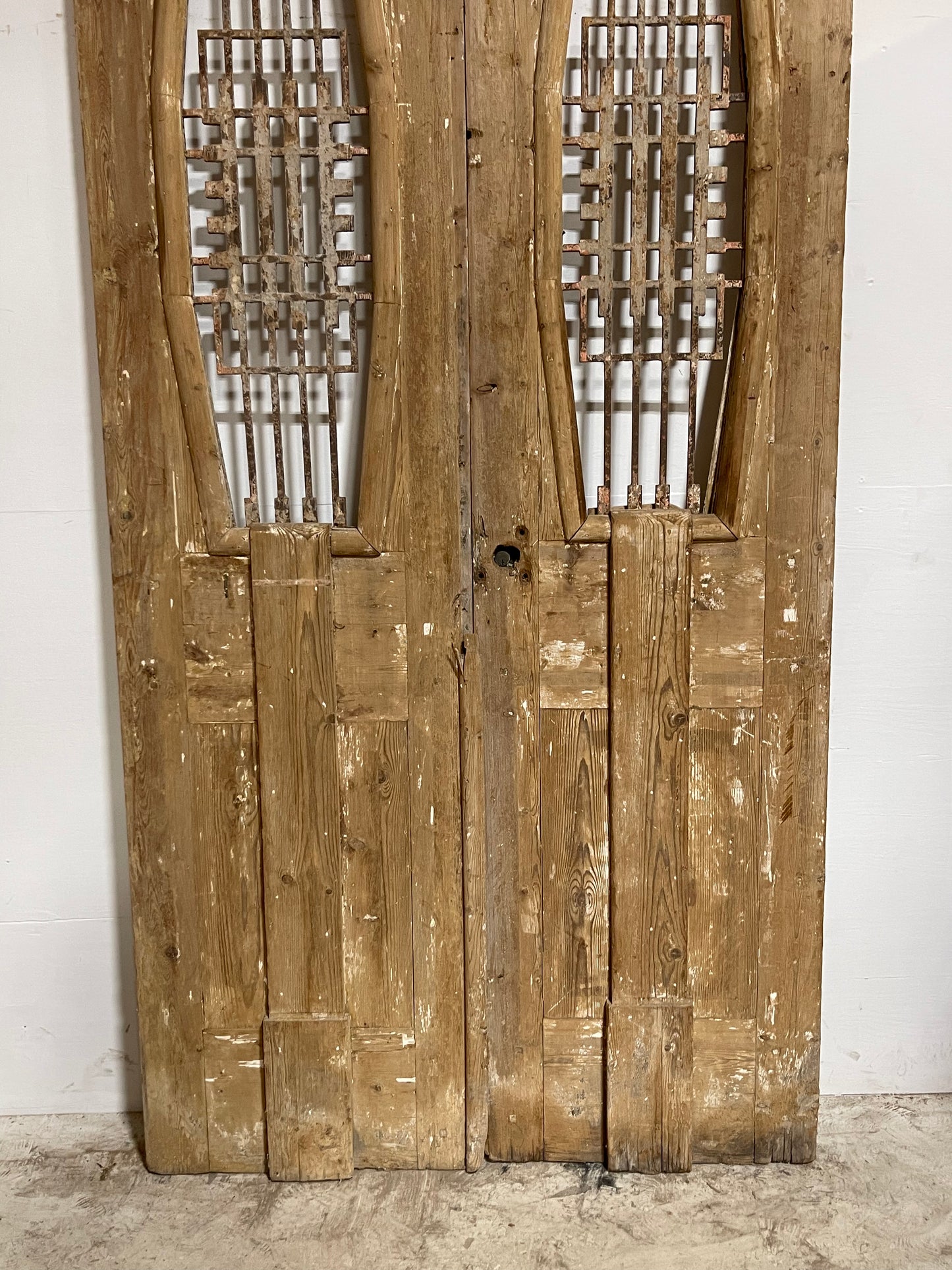 Antique Panel Doors with Metal (100x48.75) J115