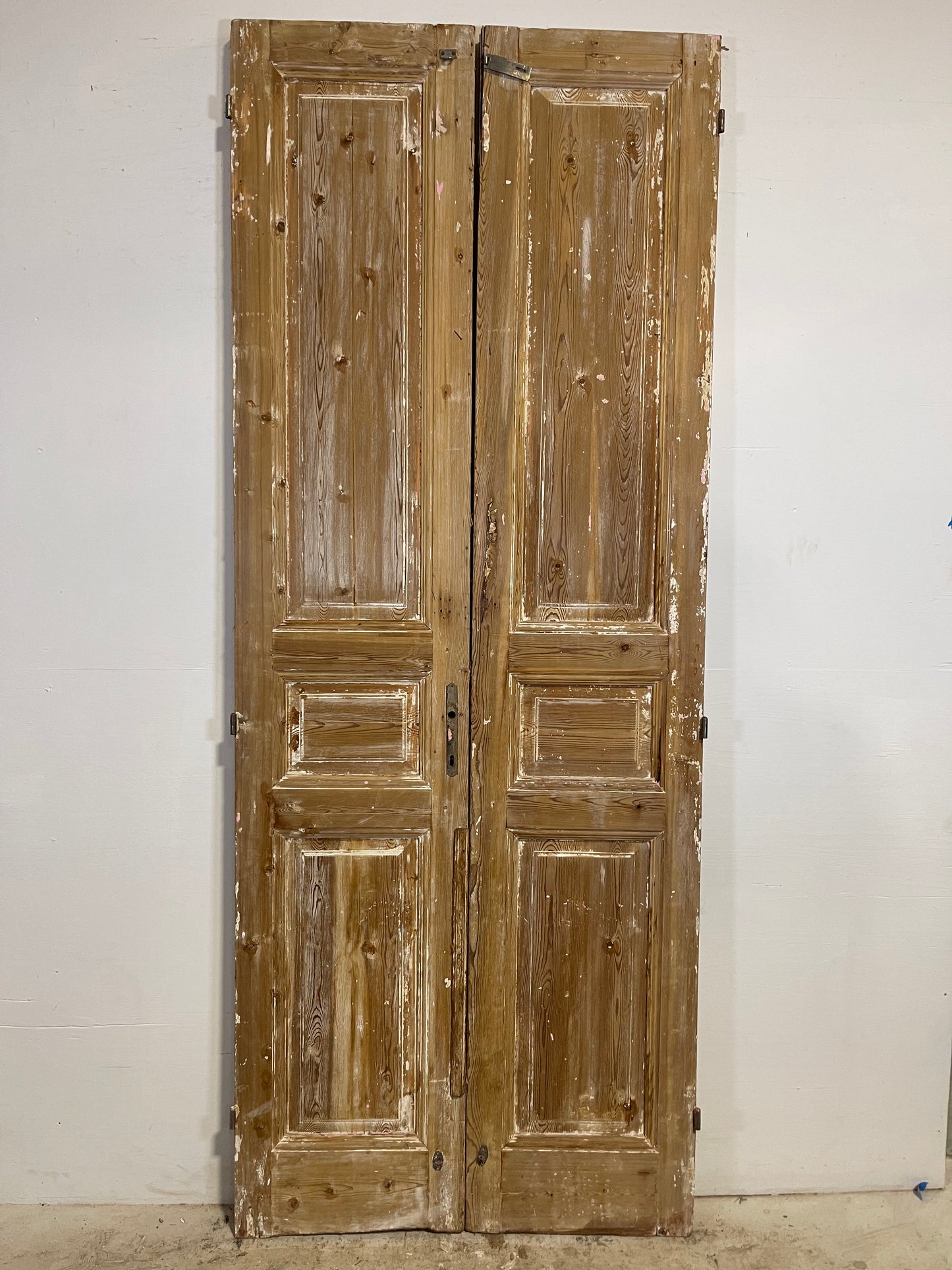 Antique French panel Doors (100.5x39.5) L270