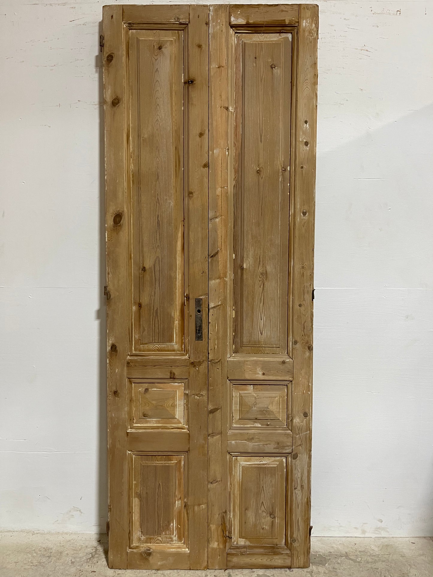 Antique French panel Doors (94.25x39.25) J613