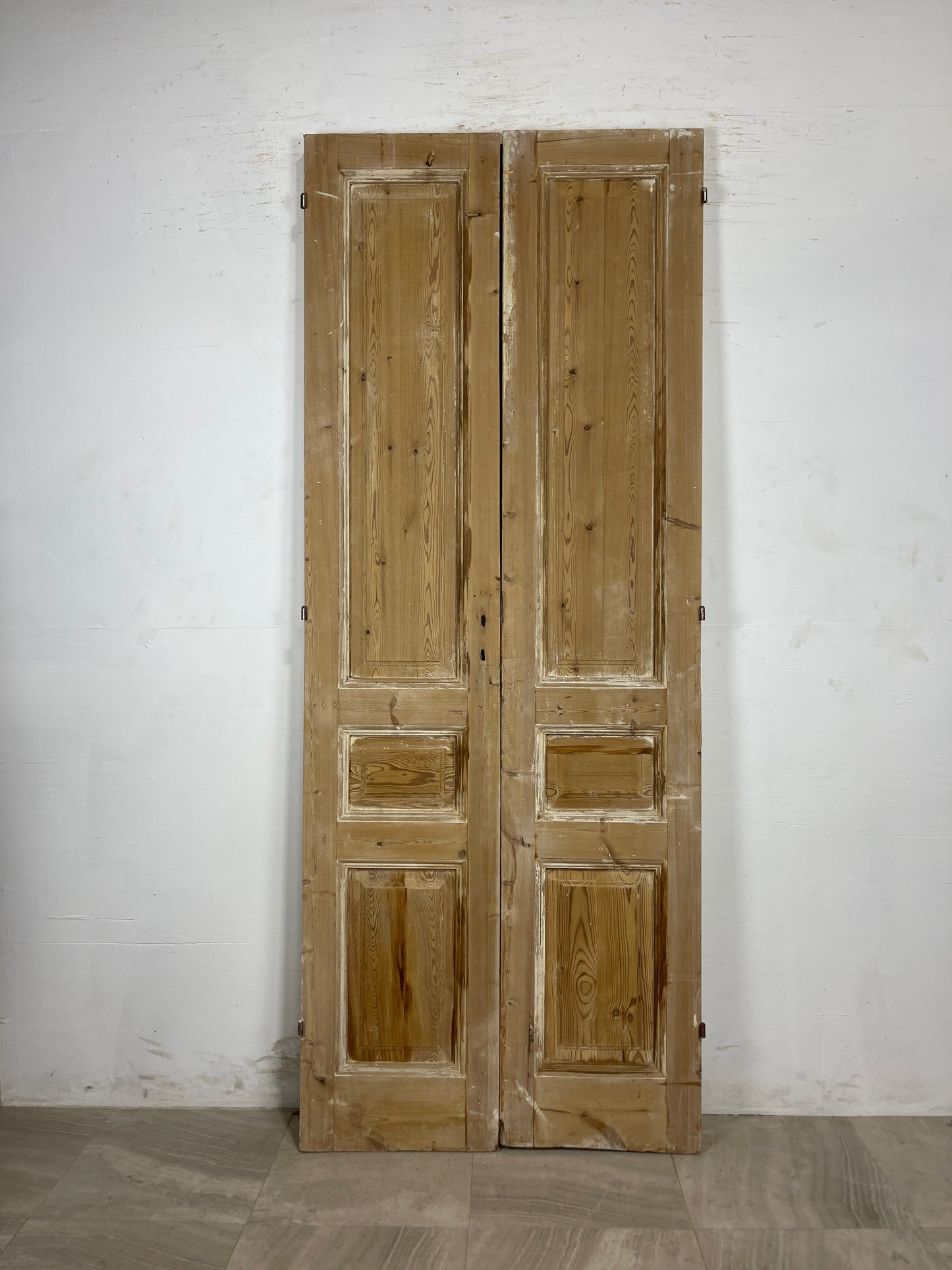 Antique French panel Doors (93.5 x 36.5) N132