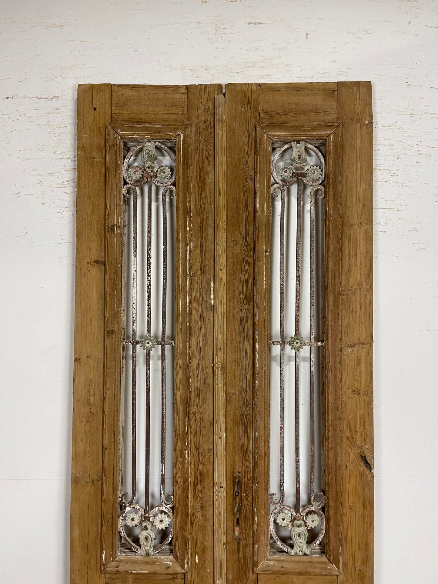 Antique French panel doors with Metal (98 x 36.5) P73