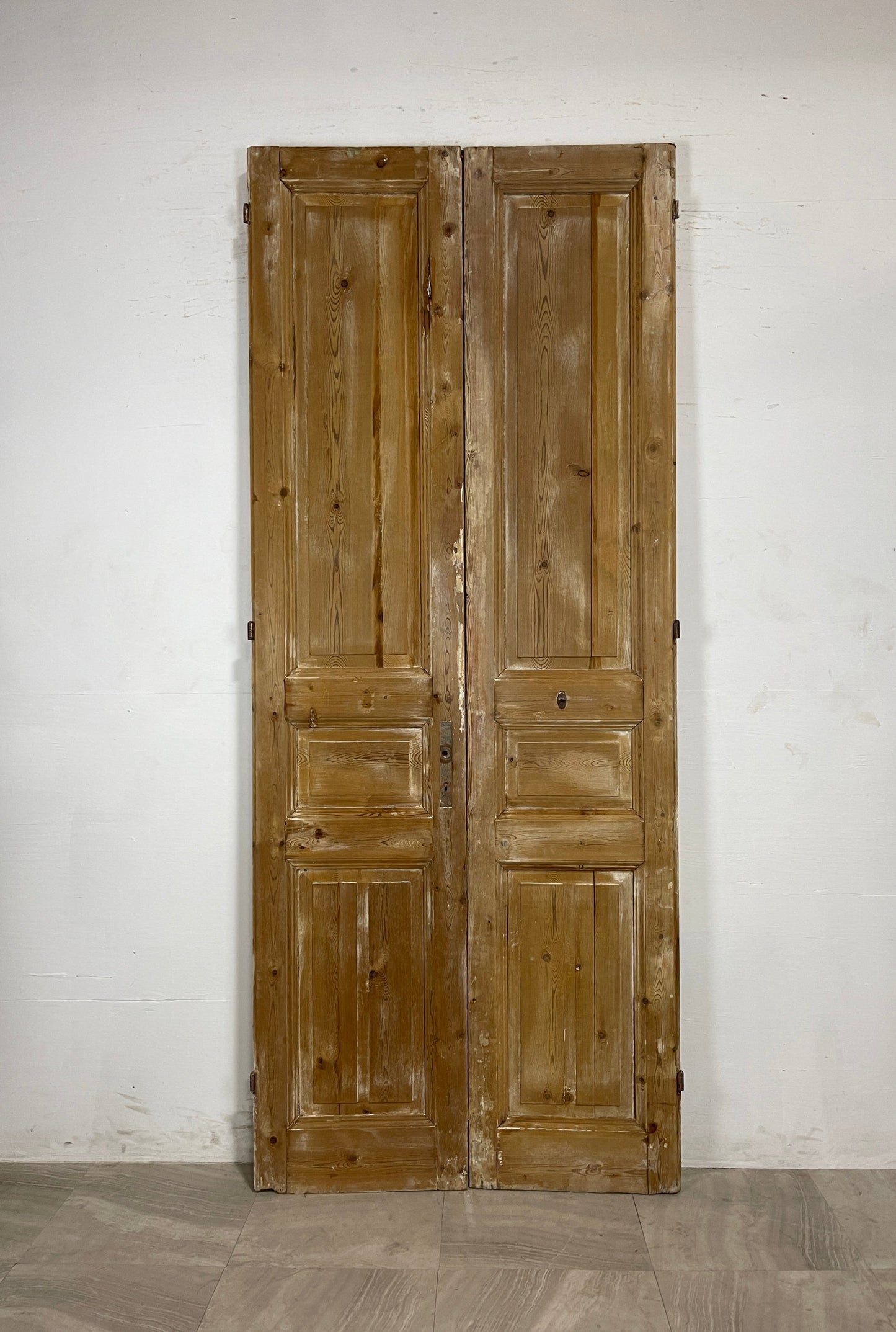 Antique French panel Doors (101 x 41.5) N087