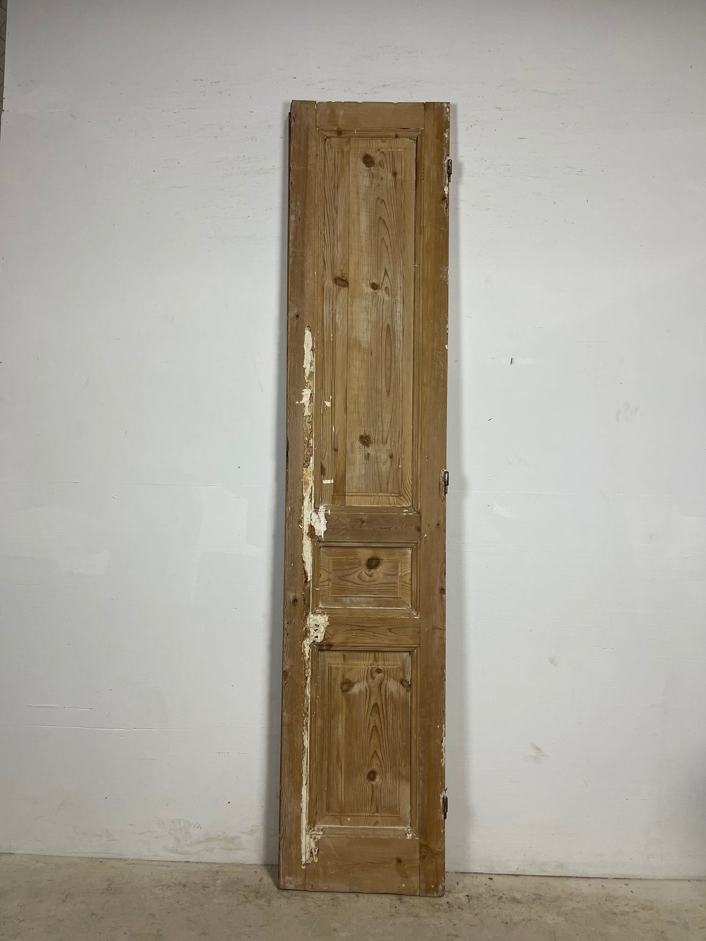 Antique French Panel Door (96.25x20.25) L384