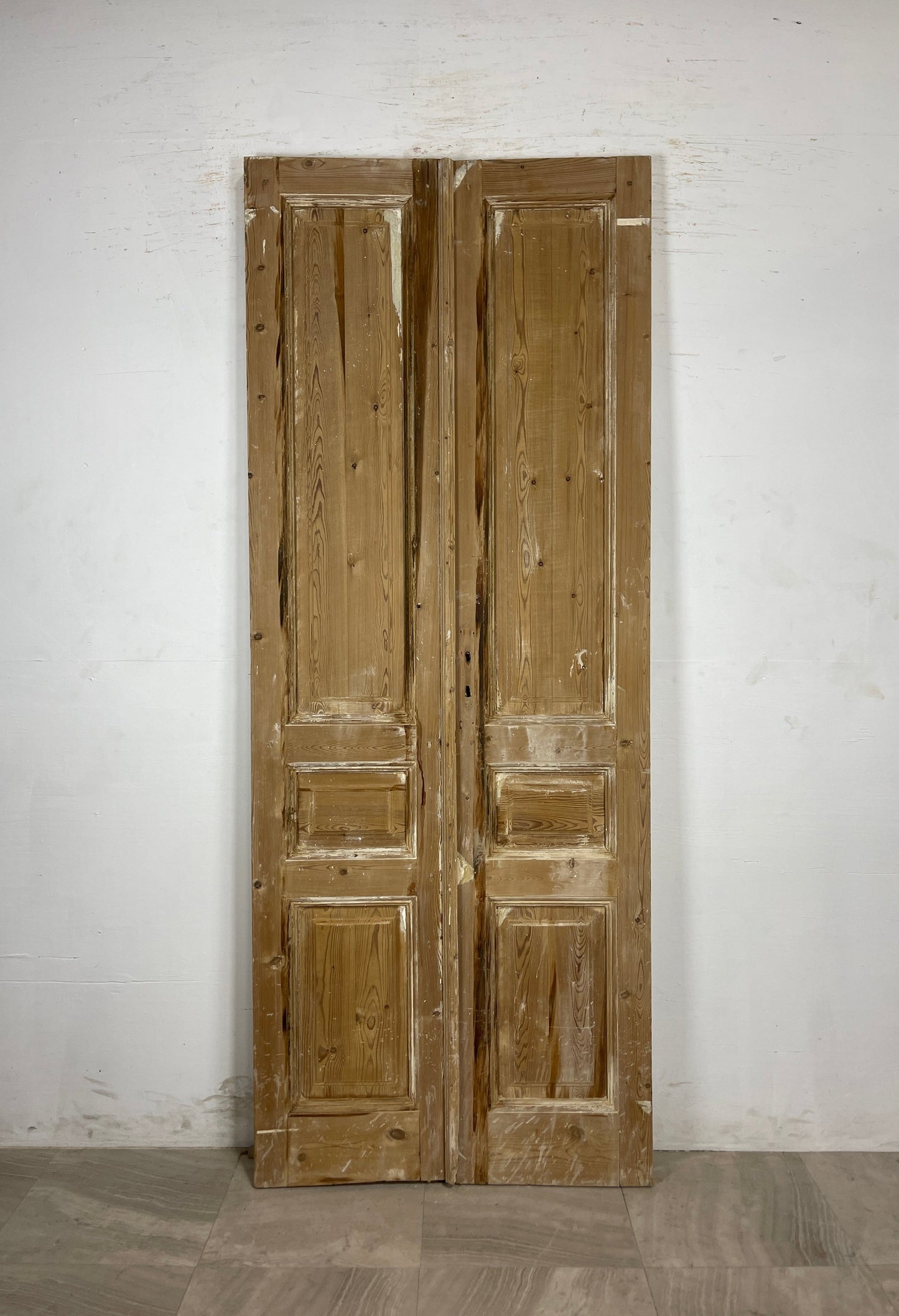 Antique French panel Doors (93.5 x 36.5) N132