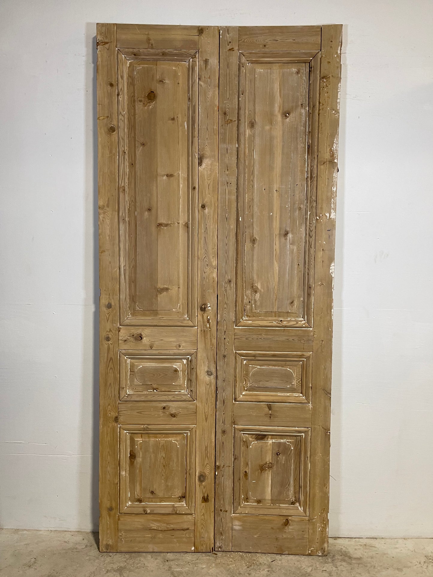 Antique French panel Doors (100.5x44.5) L298