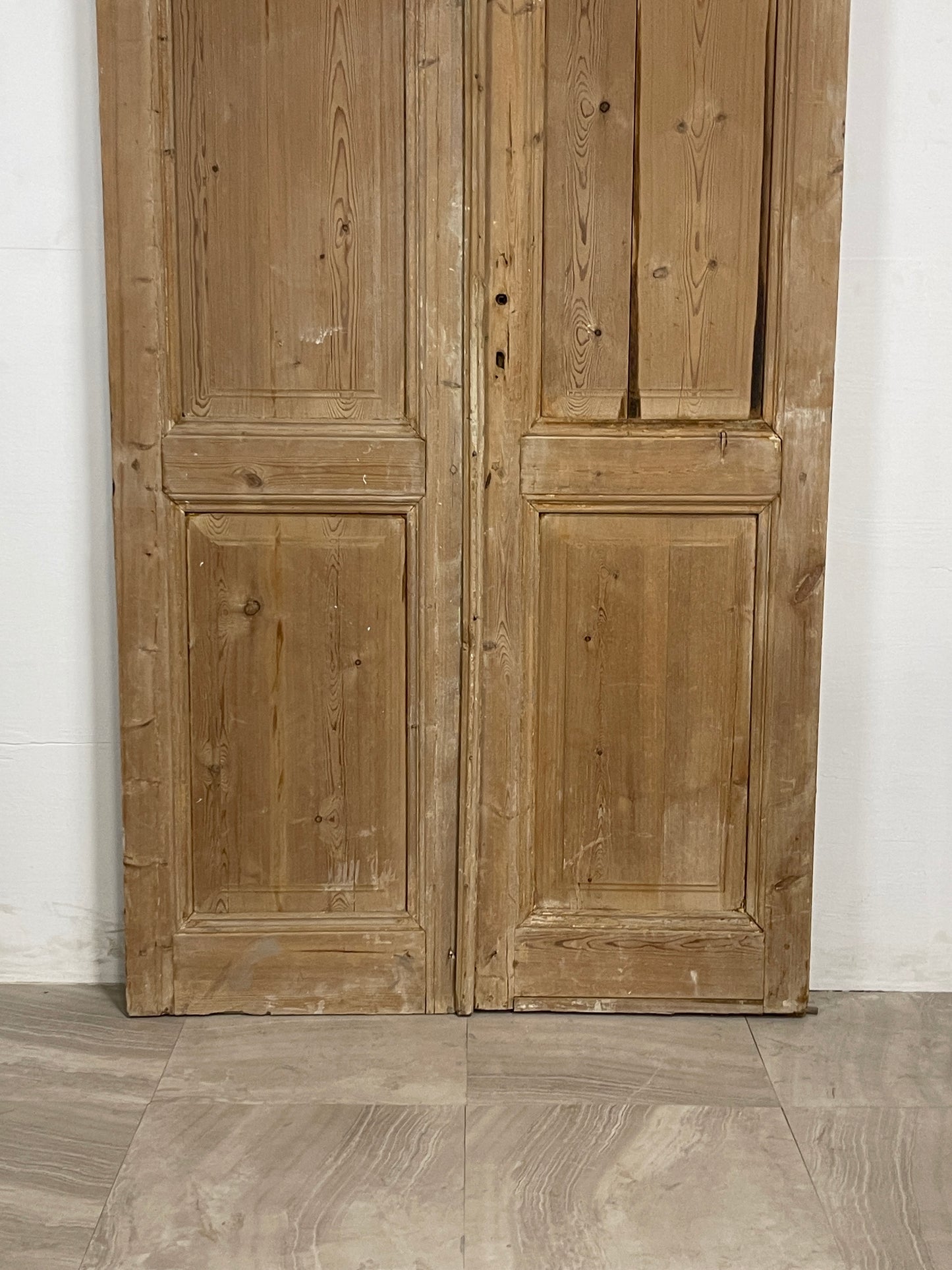 Antique French panel Doors (101.5 x 43.5) N055