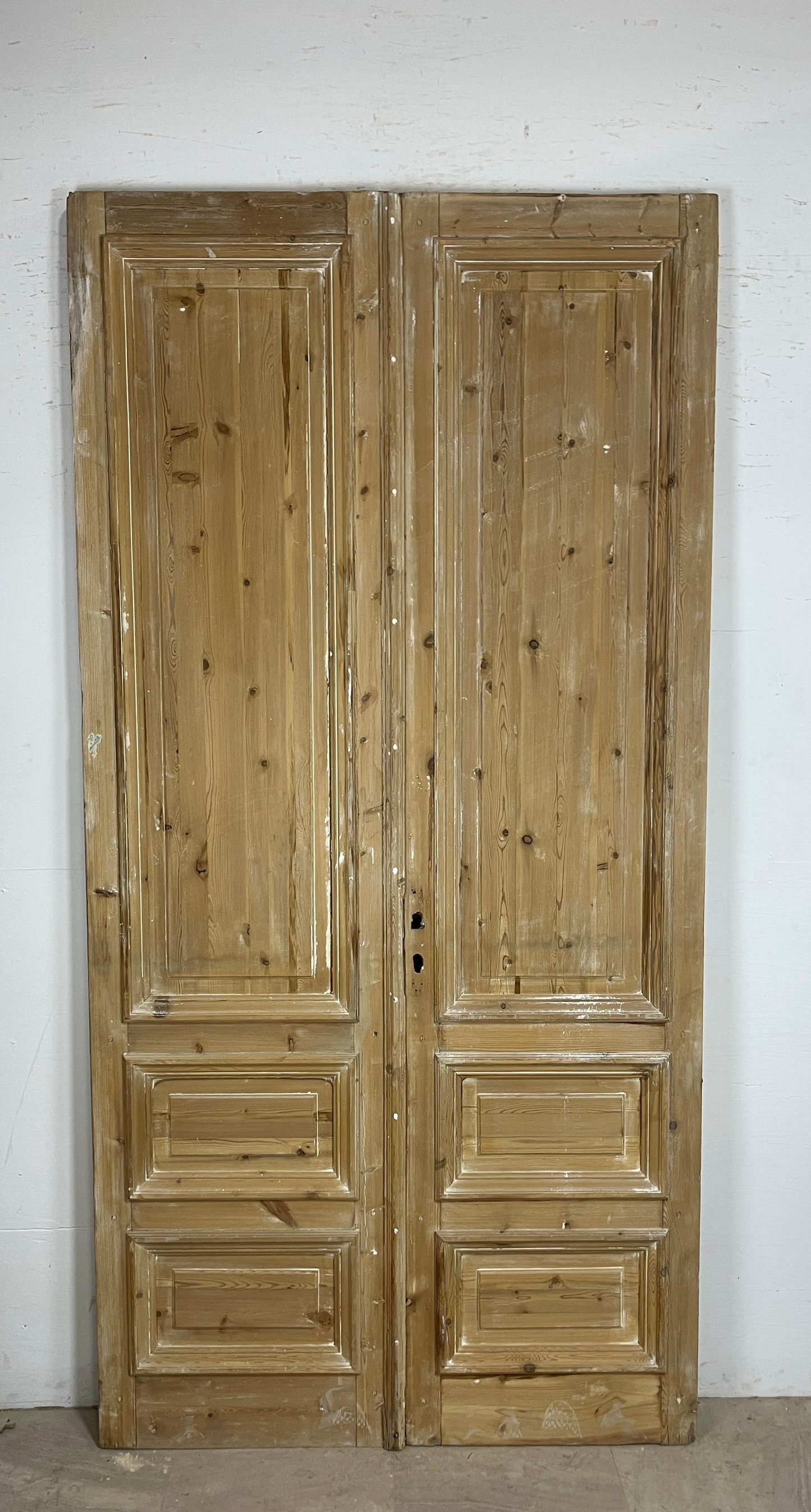 Antique French panel doors with Carvings (100 x 50) P48