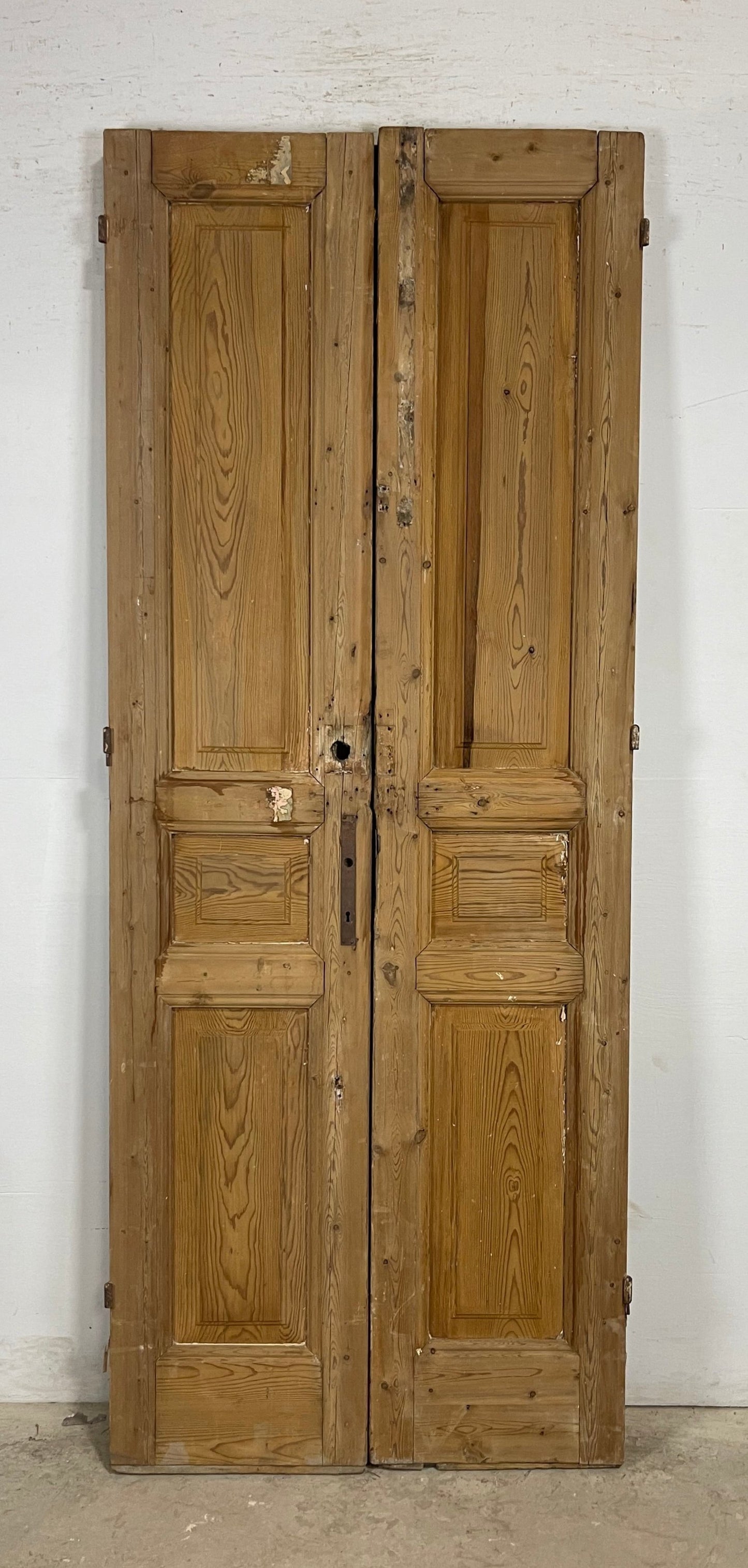 Antique French panel Doors (91.75 x 36) M166