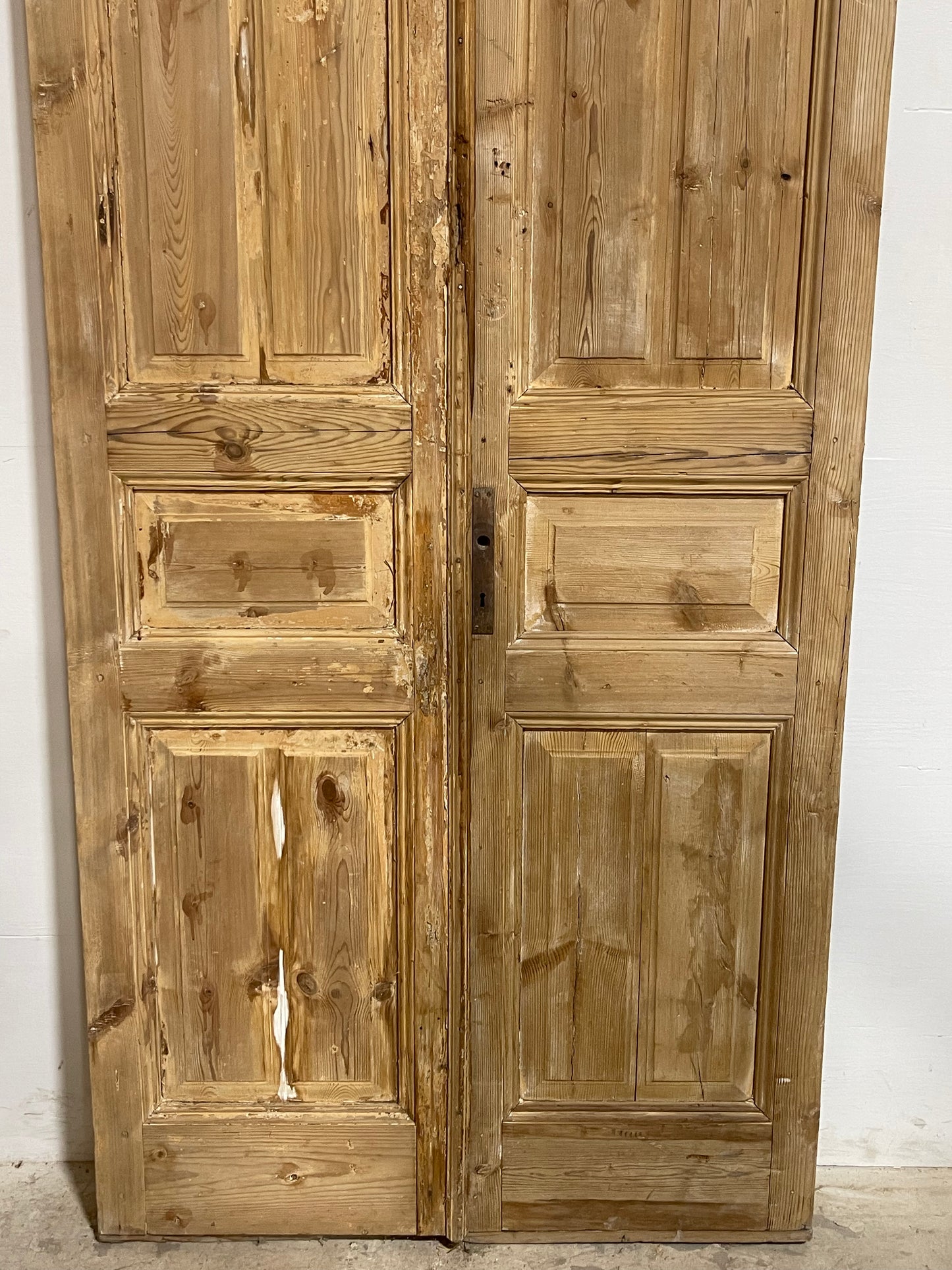 Antique French Panel Doors (98.25x44.25) J670