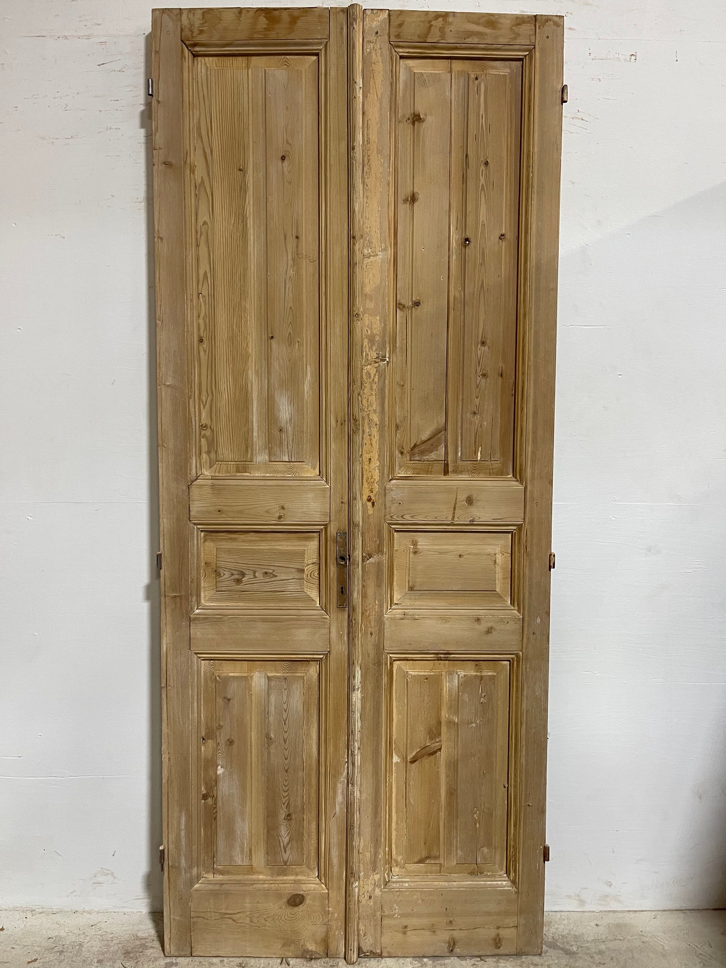 Antique French panel Doors (97.25x40.25) J635