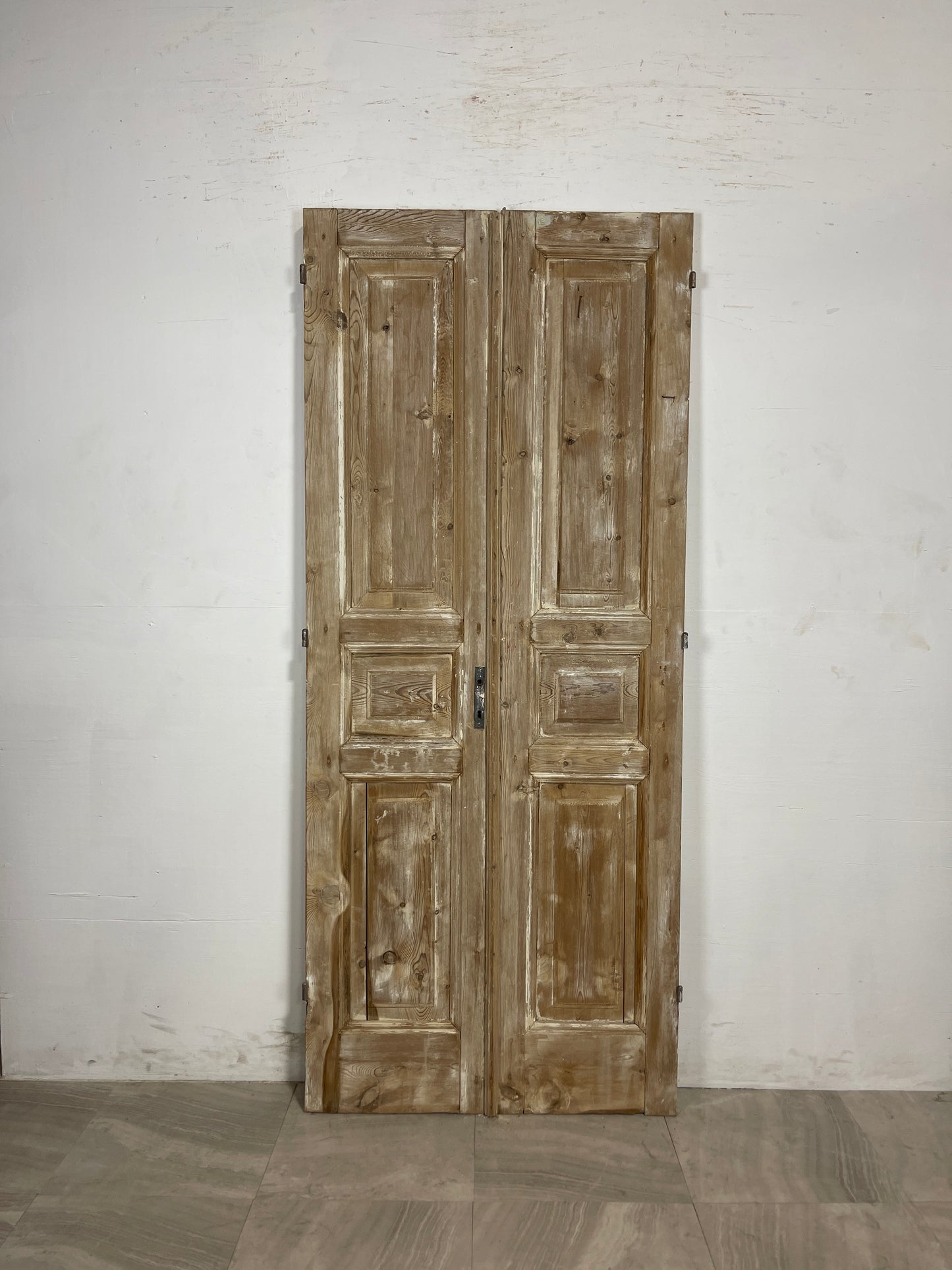 Antique French panel Doors (84.5 x 35.5) N097