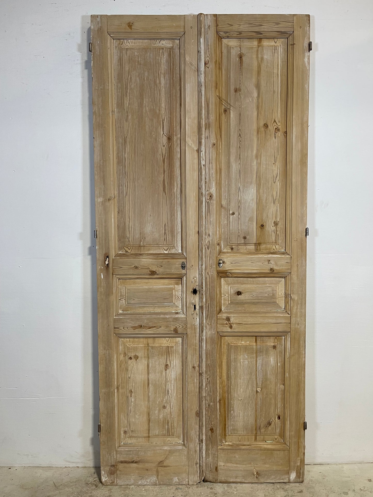 Antique French panel Doors (96x43) L287