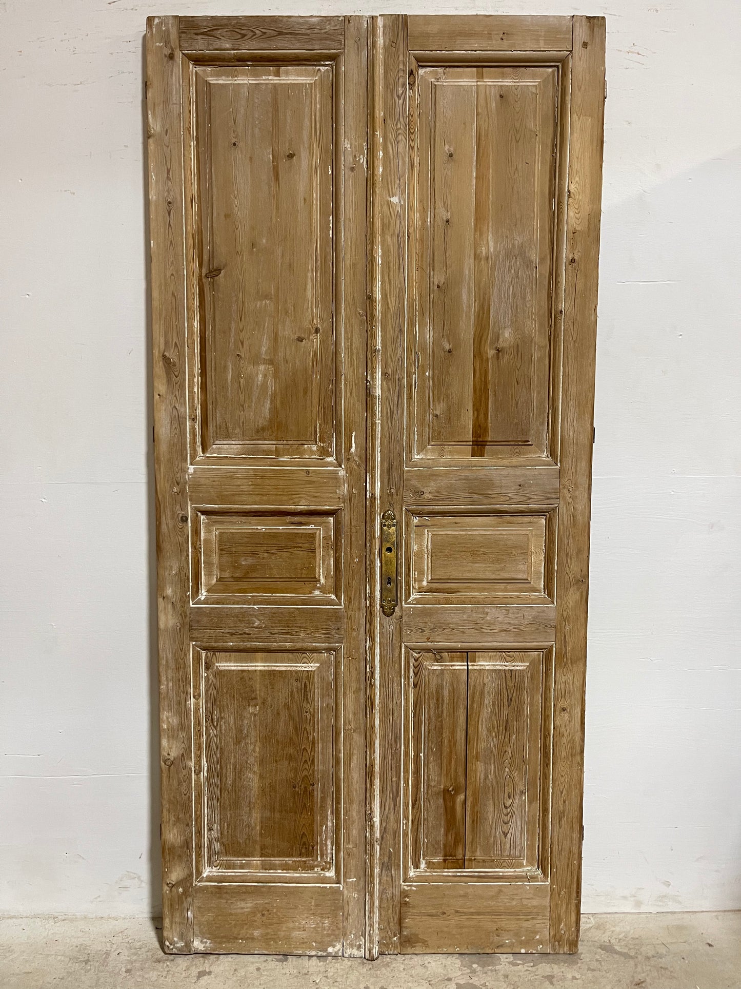 Antique French panel Doors (90.5x44.50) J629