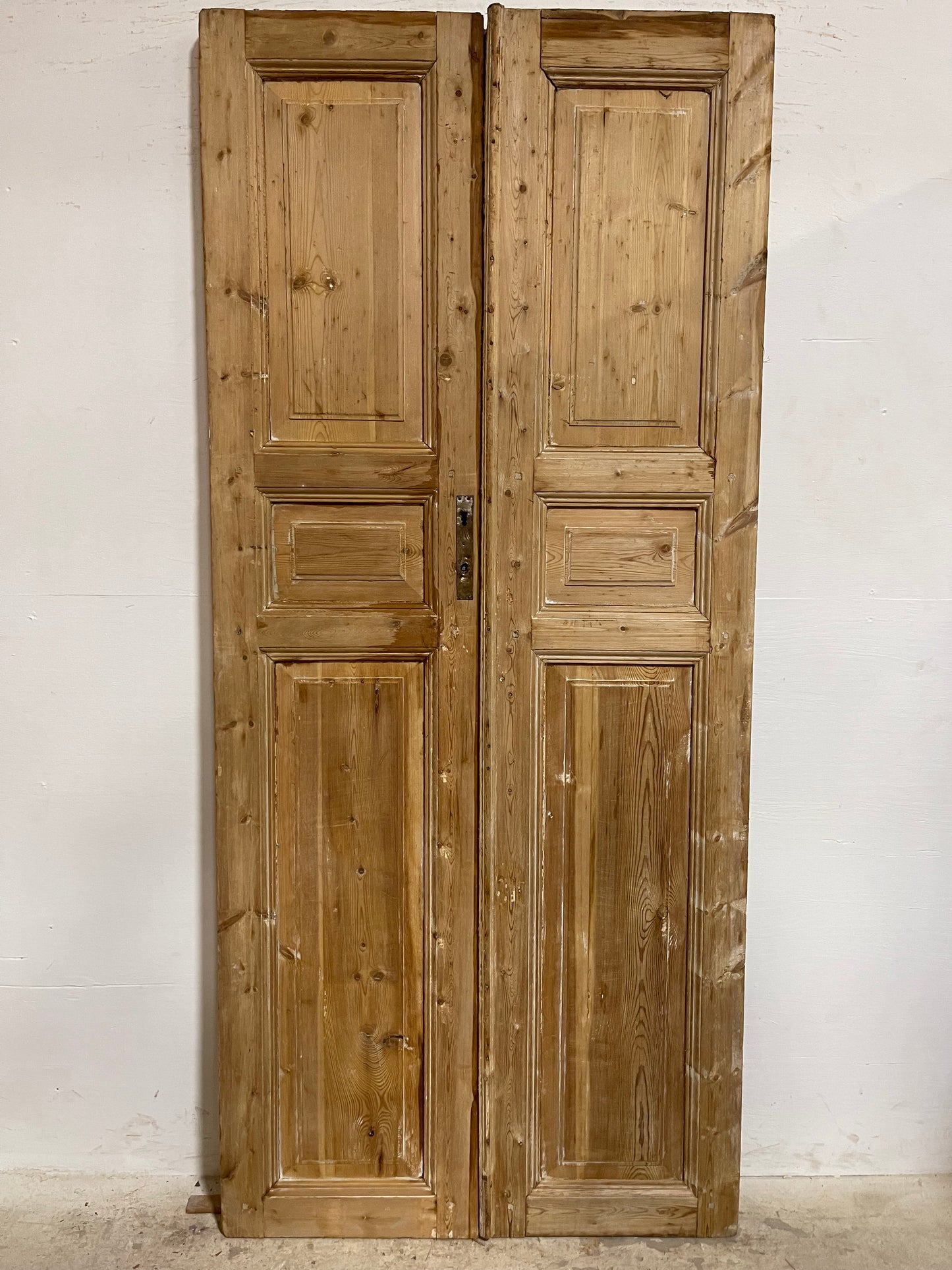 Antique French panel Doors (88.25x39.25) J654
