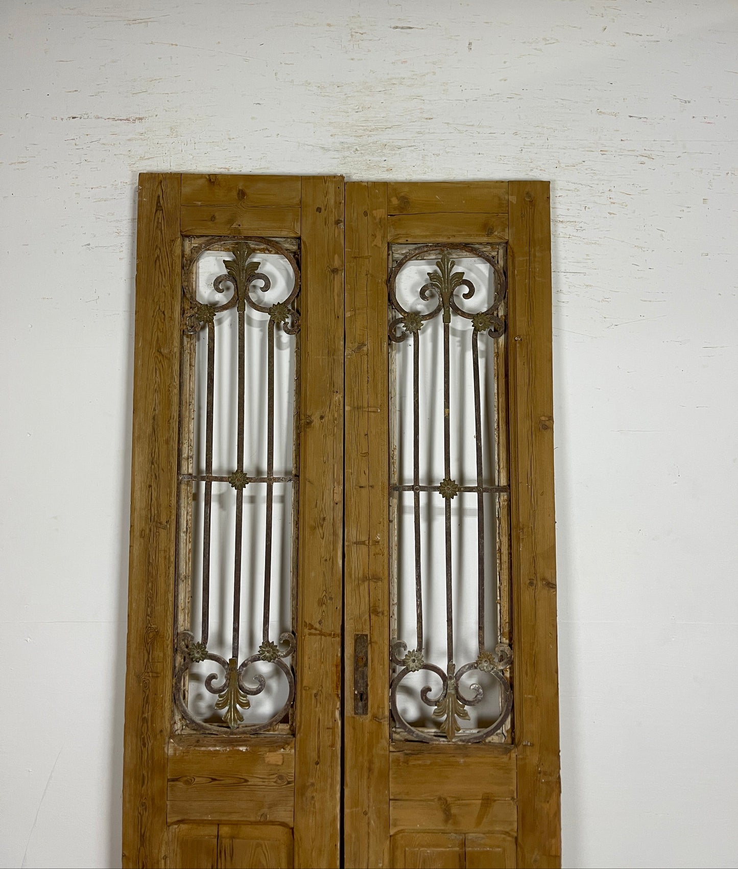 Antique French panel doors with Metal (91 x 40) P70