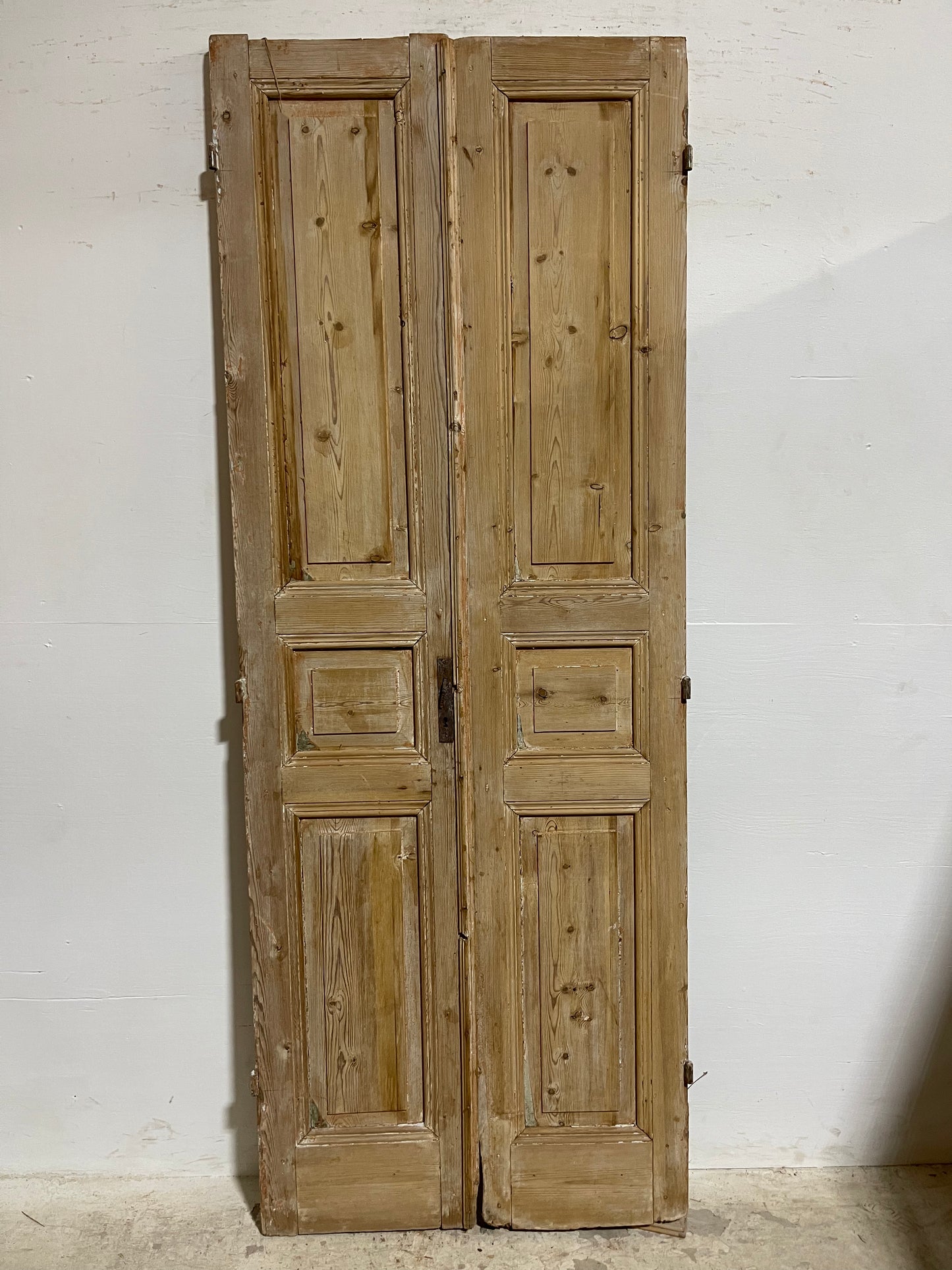 Antique French panel Doors (89.75x33.50) J619