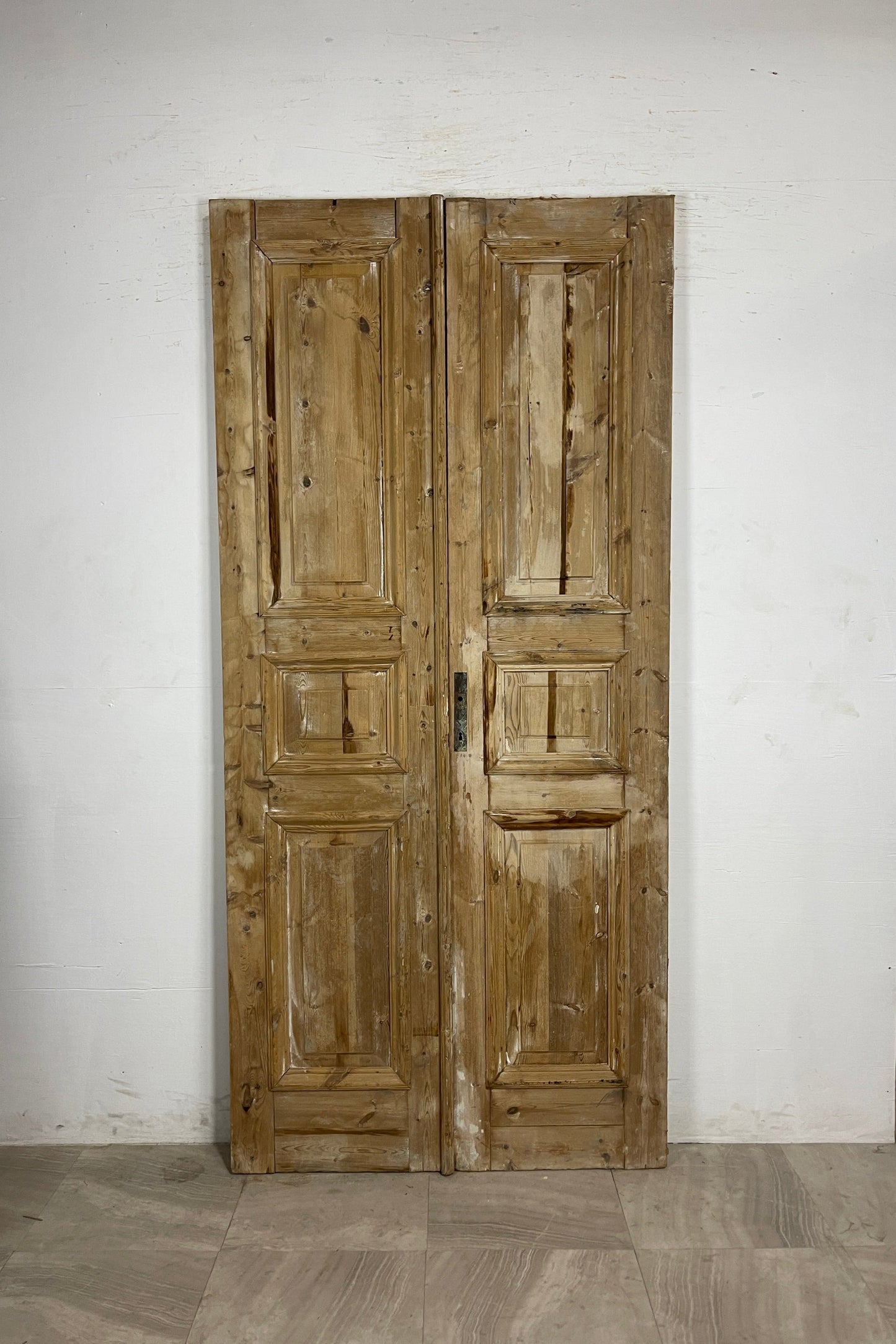 Antique French panel Doors (94.25 x 43.75) N138