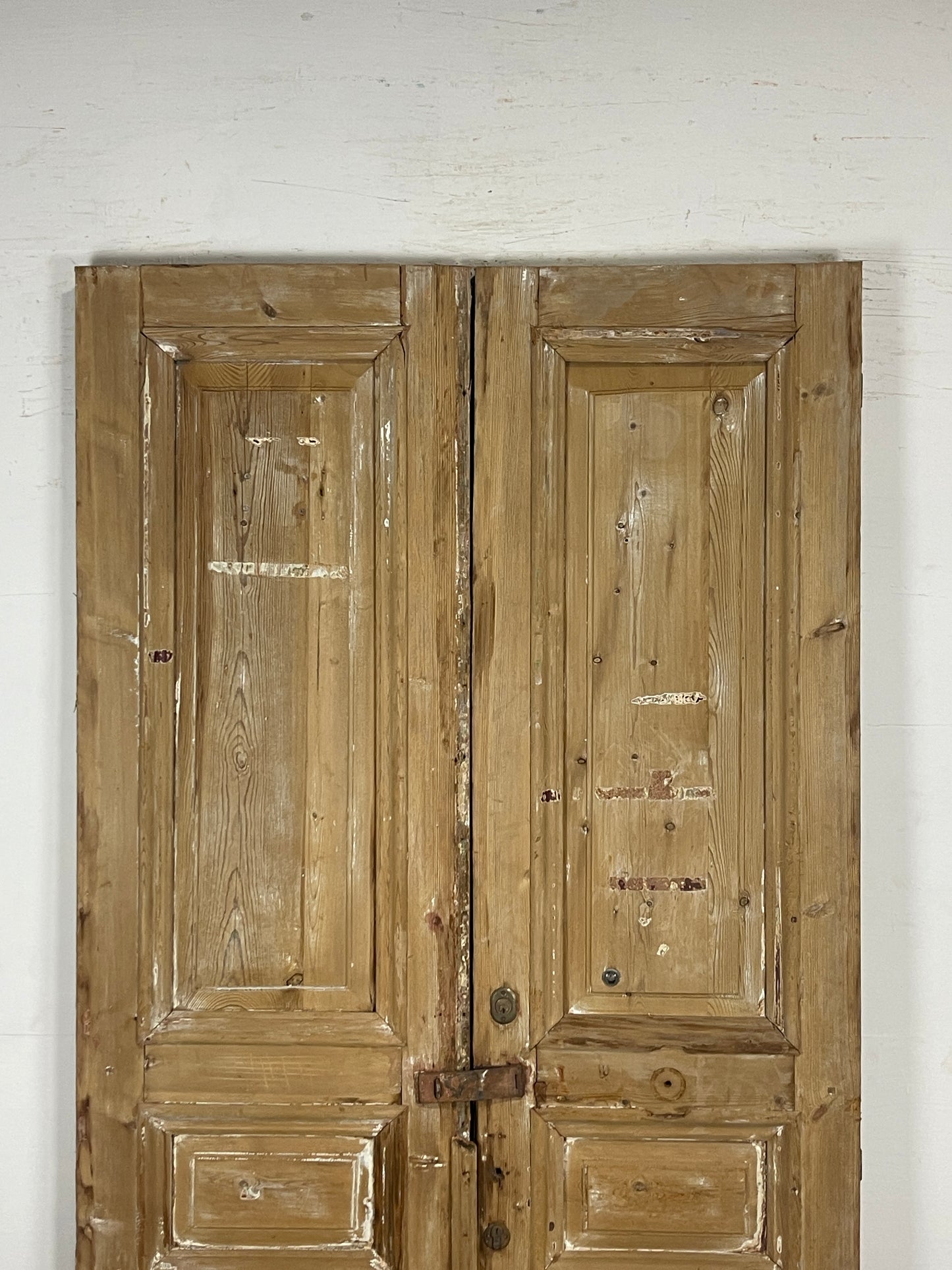 Antique French panel Doors (94.5 x 46.75) N110