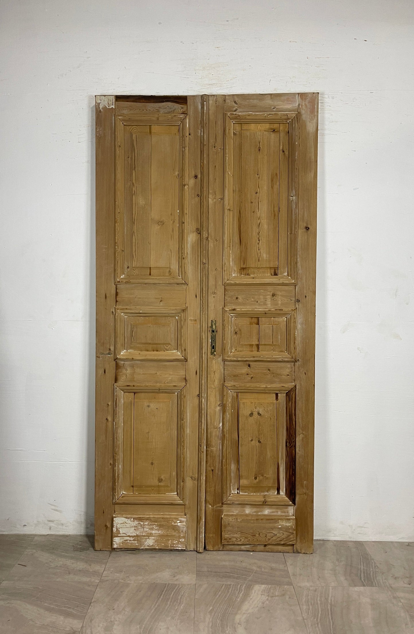 Antique French panel Doors (95 x 46.5) N137 FHL