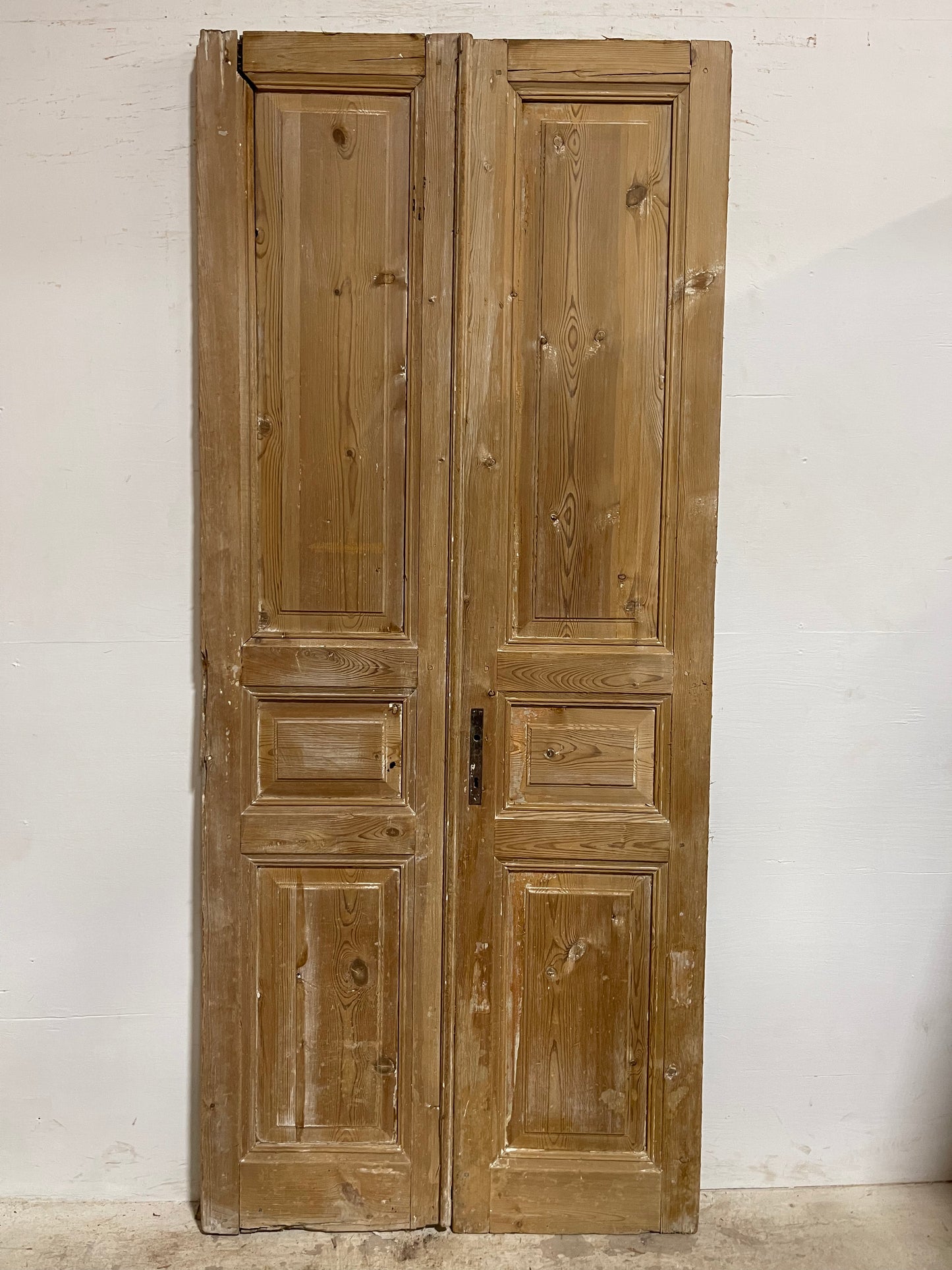 Antique French panel Doors (93x40.25) J634