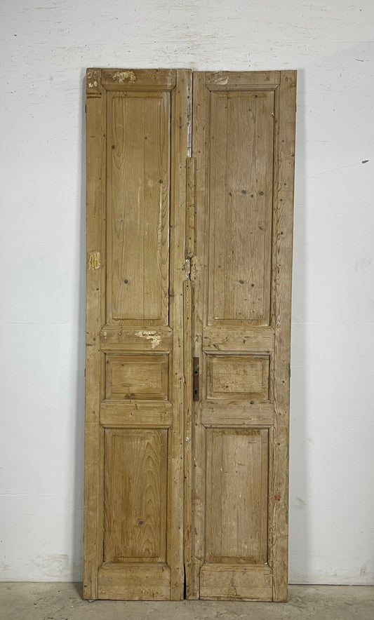 Antique French panel Doors (91x35.5) M132