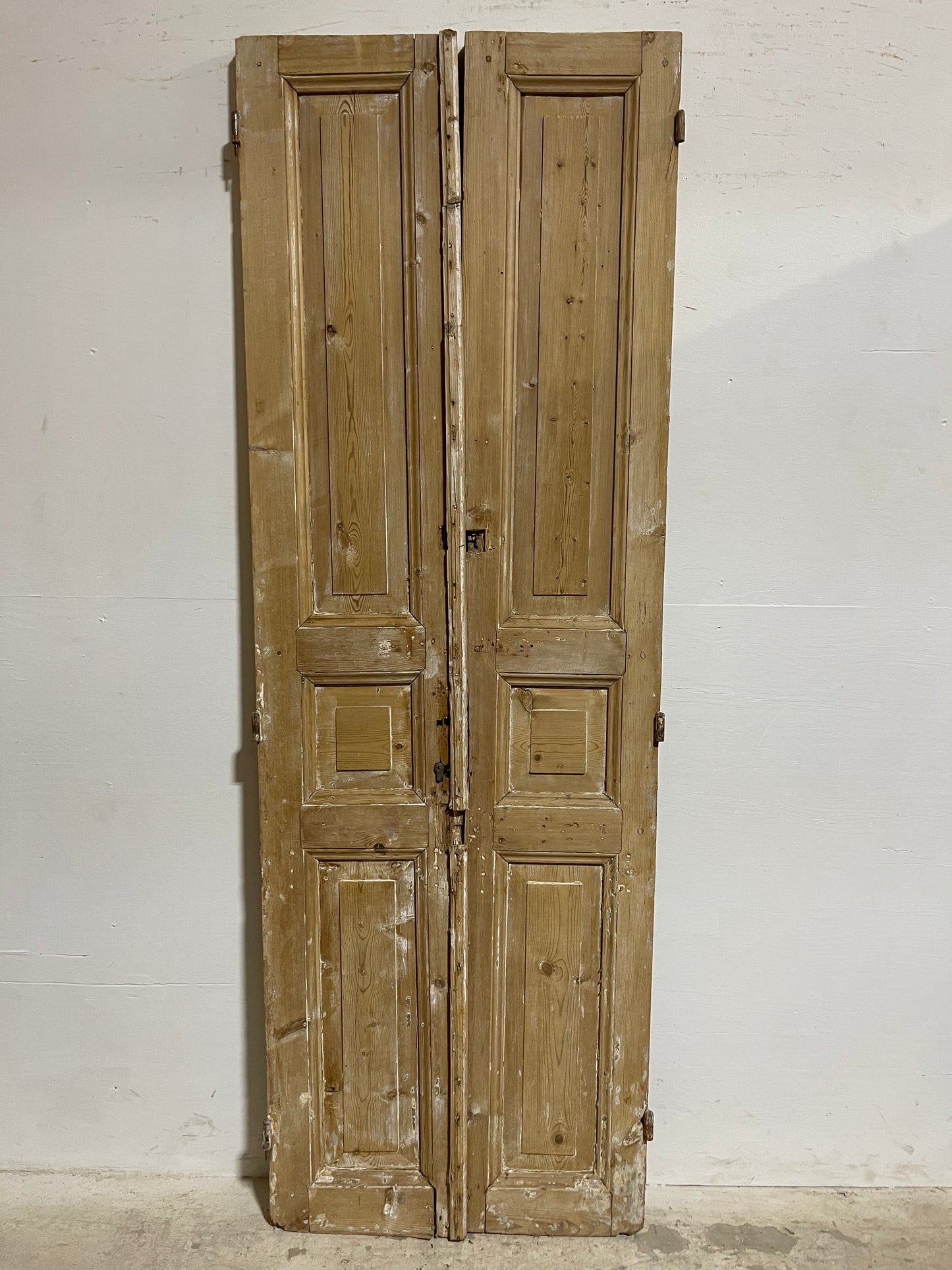 Antique French panel Doors (87.75x30.5) J617