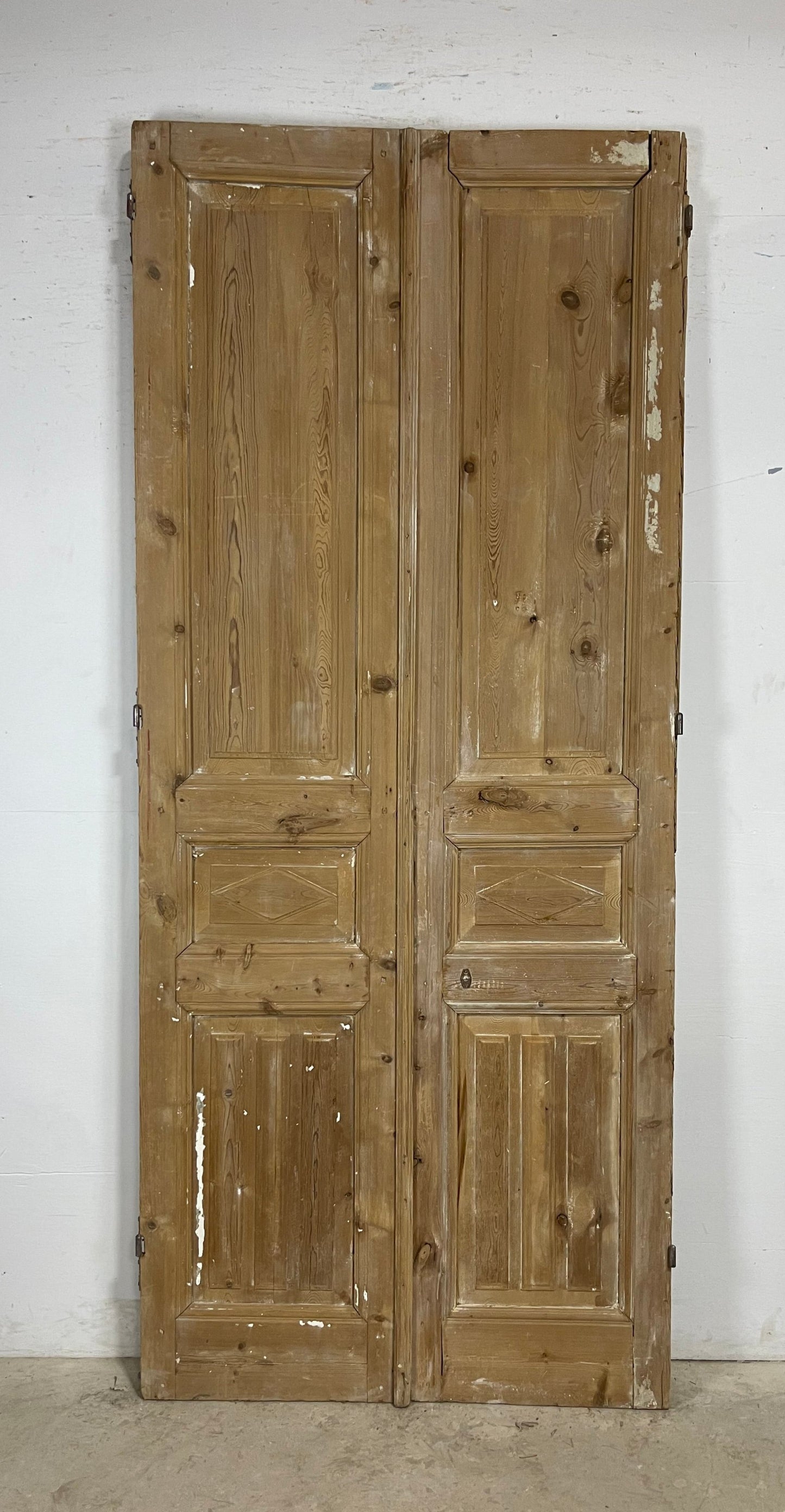 Antique French panel Doors (101.75 x 43.25) M163