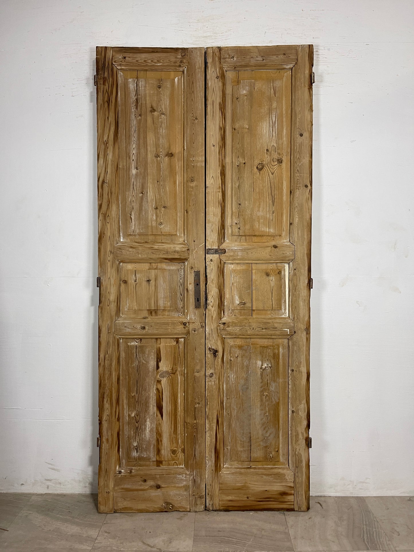 Antique French panel Doors (94.5 x 43.5) N143